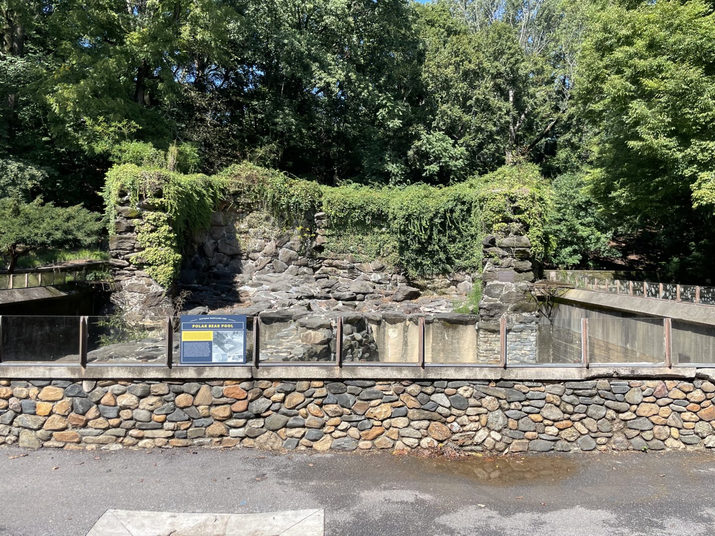 09/13/23 - Historic Polar Bear Pool