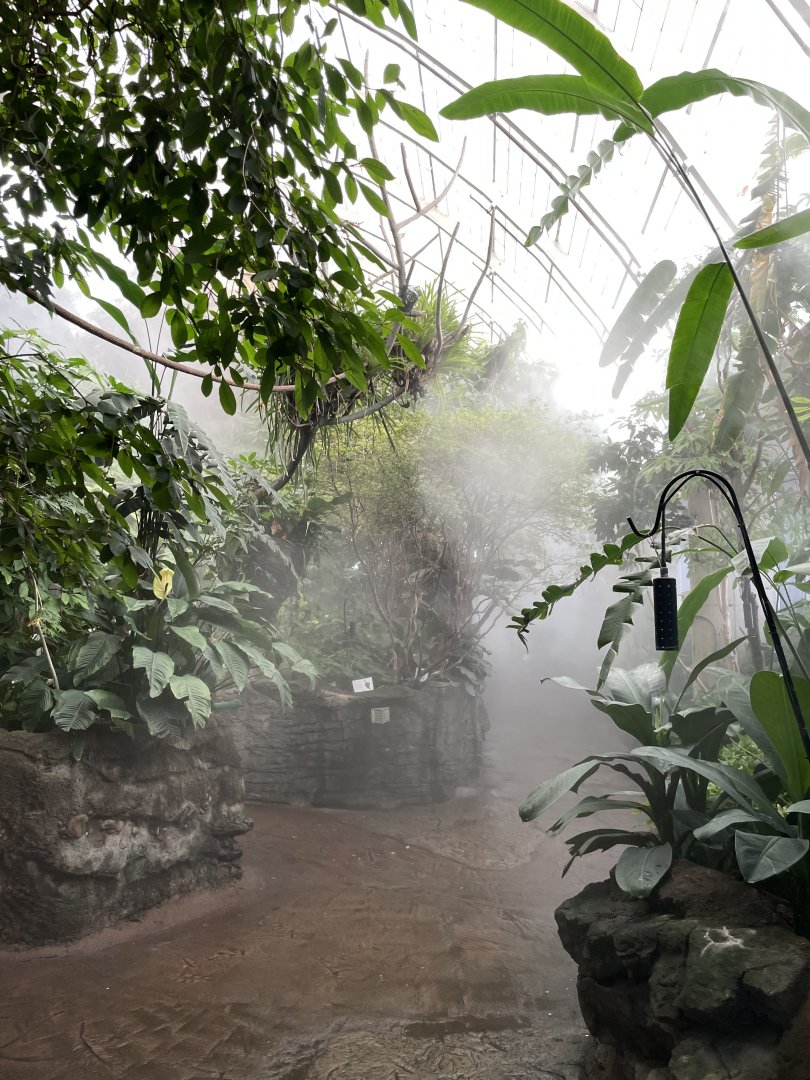 09/14/23 - Amazonia upper level being misted