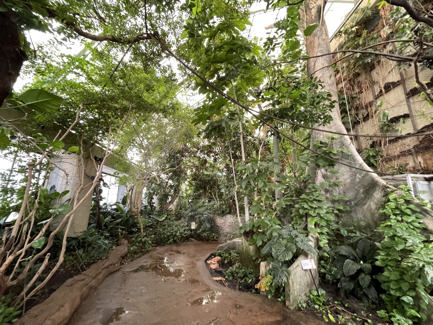 09/14/23 - Amazonia Upper Level