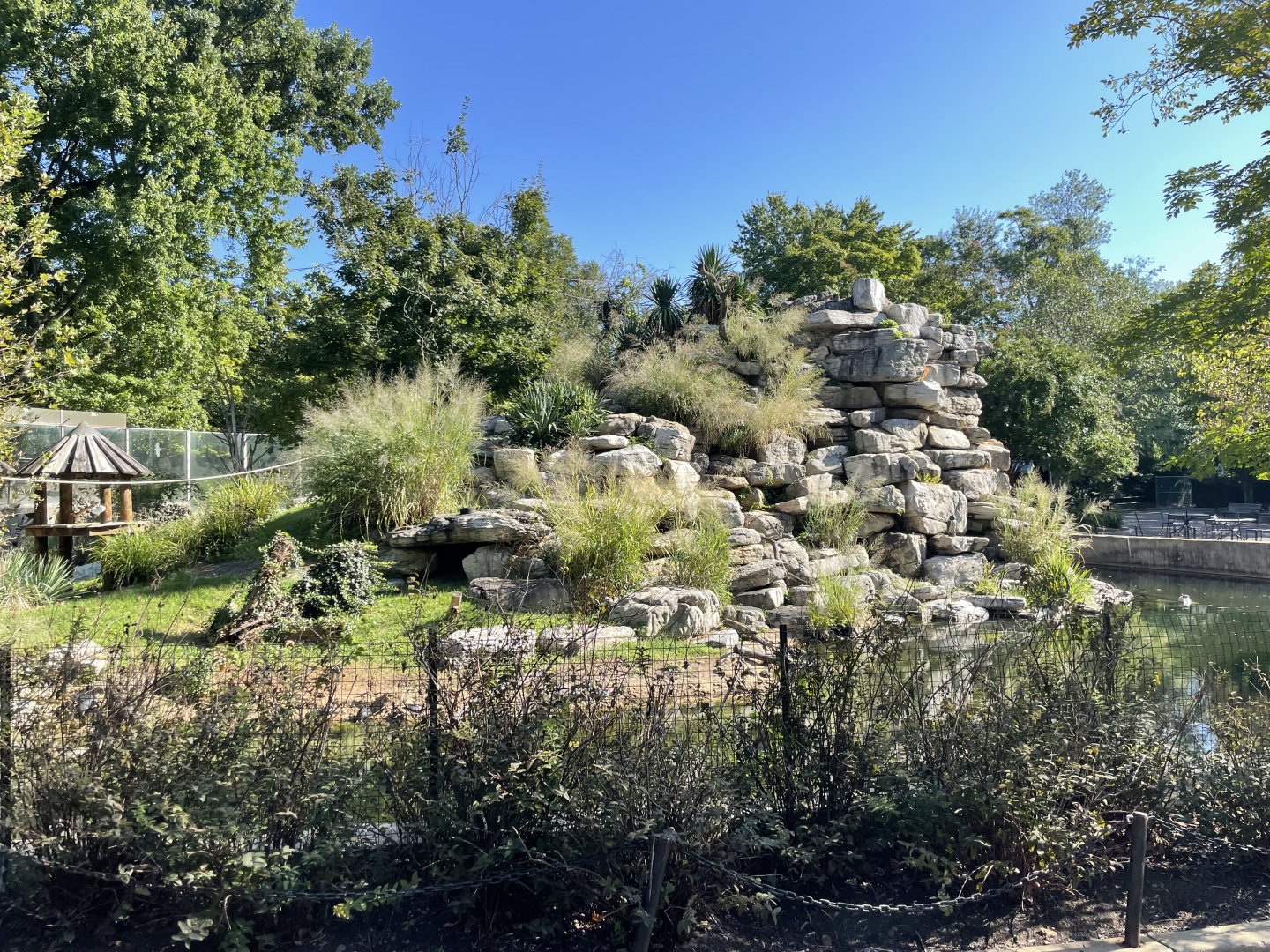 09/14/23 - Lemur Island