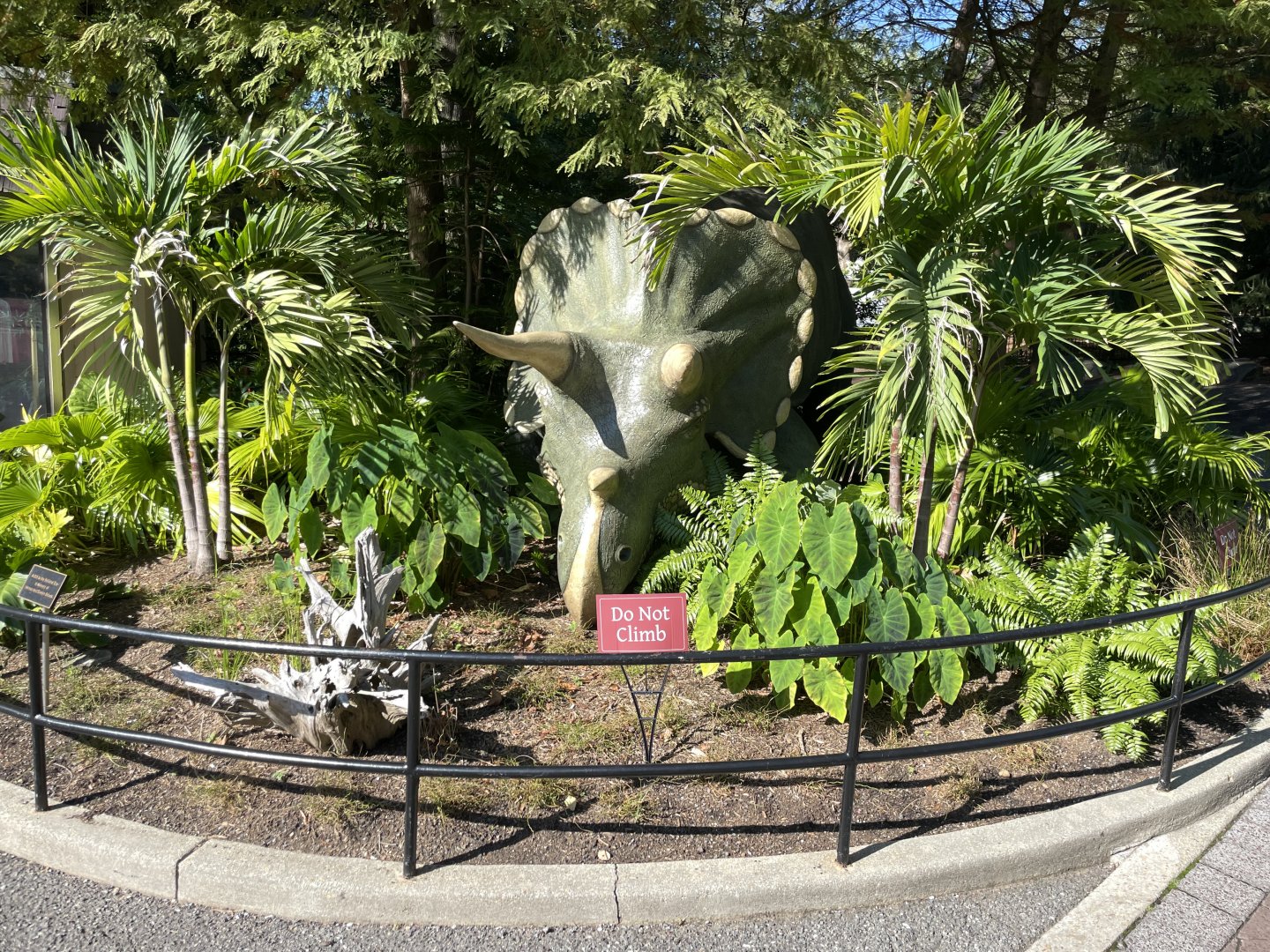 09/14/23 - Uncle Beazley