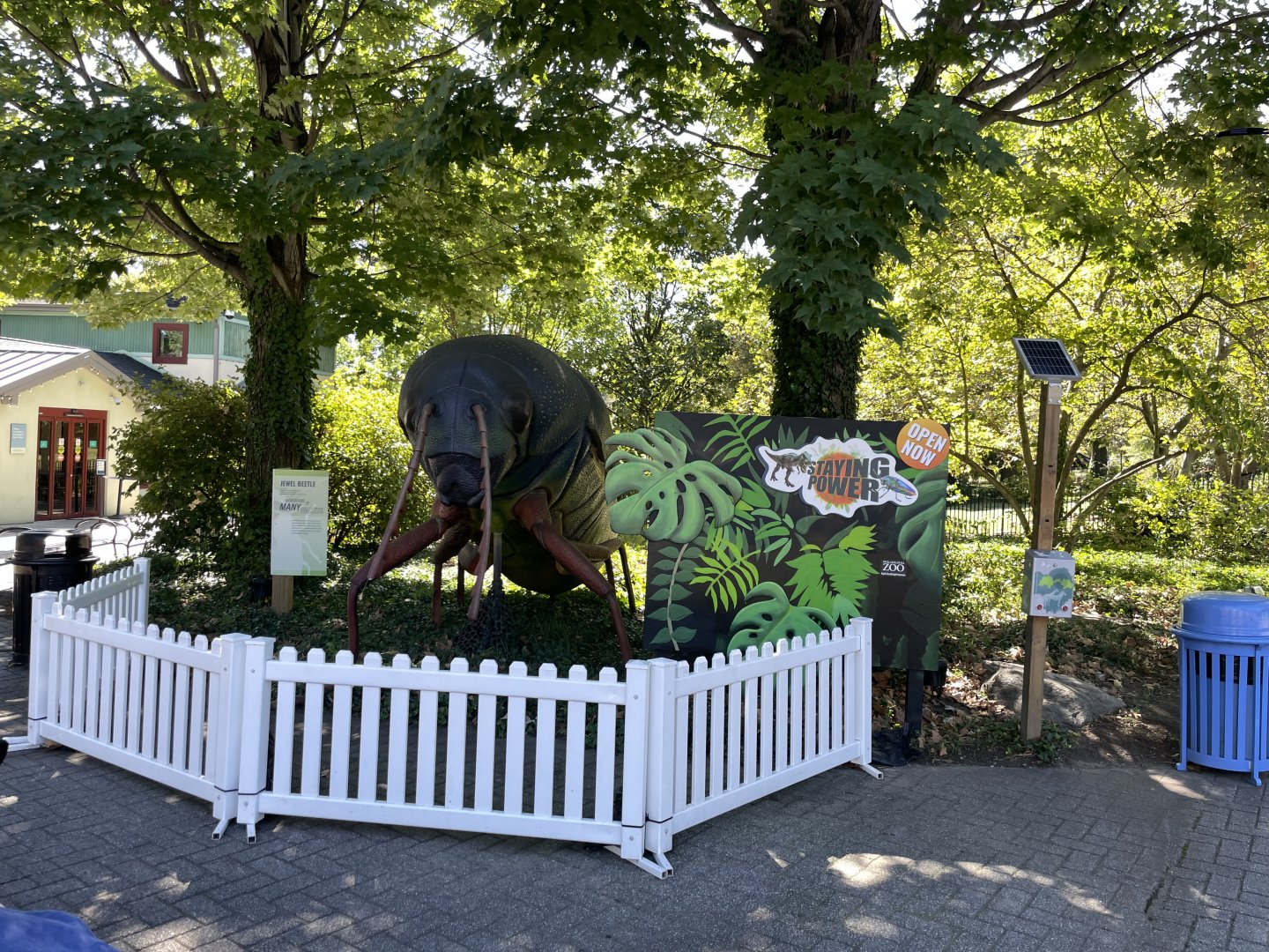 09/15/23 - Jewel Beetle statue