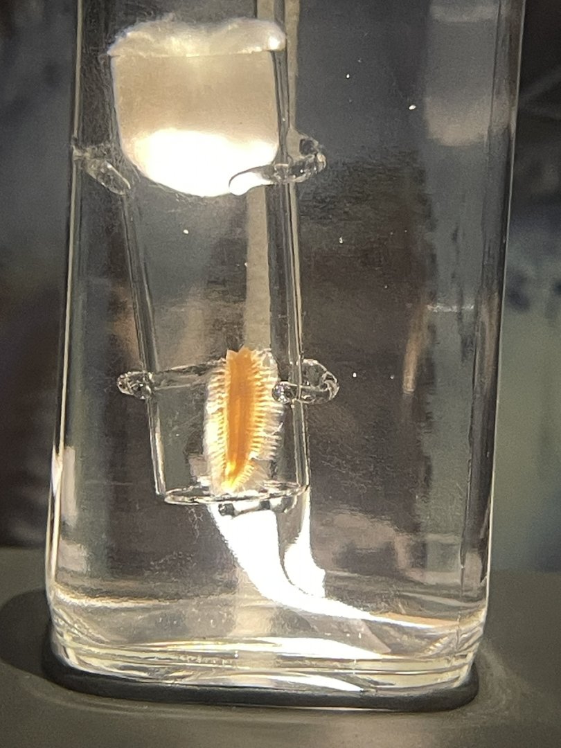 09/16/23 - Methane Ice Worm (Sirsoe methanicola)