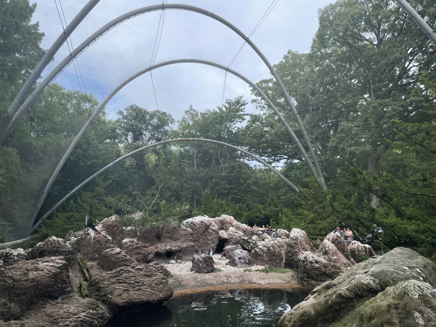 09/17/23 - Outdoor Aquatic Bird Aviary