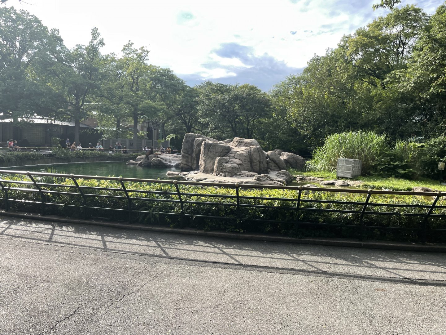 09/17/23 - Sea Lion Pool