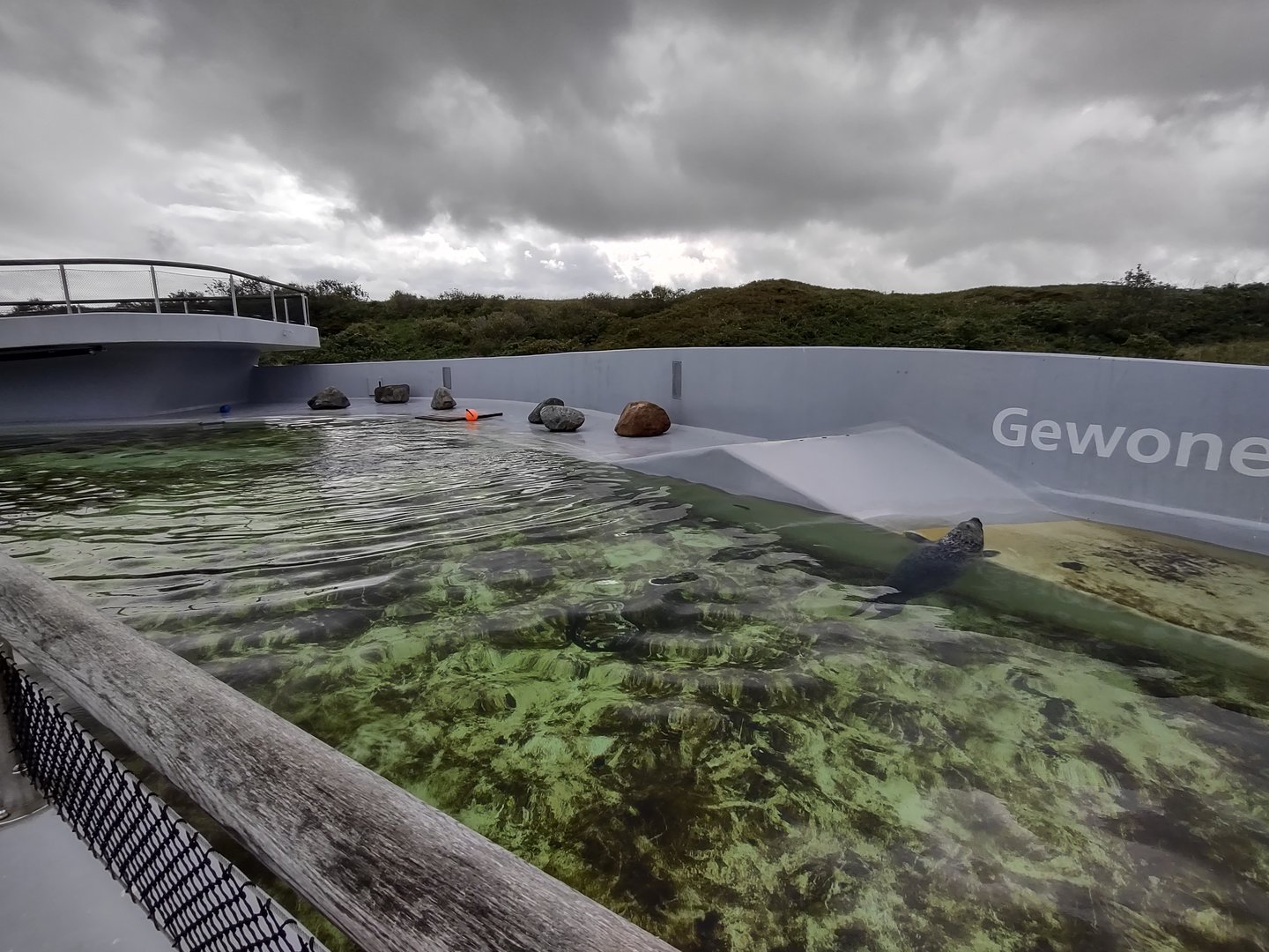 09 2023 - Harbour seal enclosure overview
