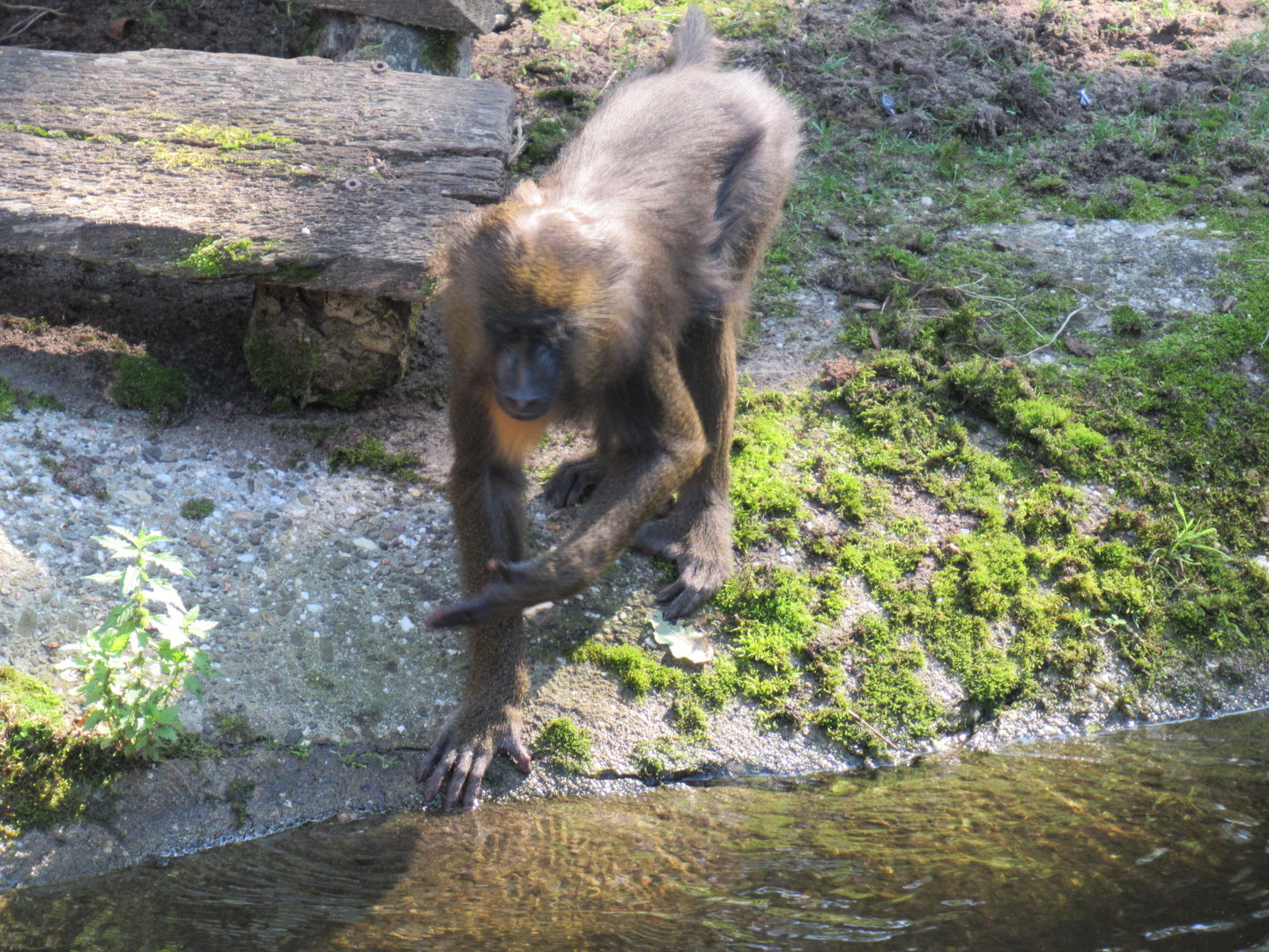 09 2023 - Mandrill