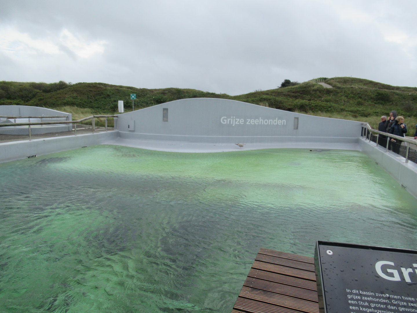 09 2023 - Overview Grey Seal Enclosure