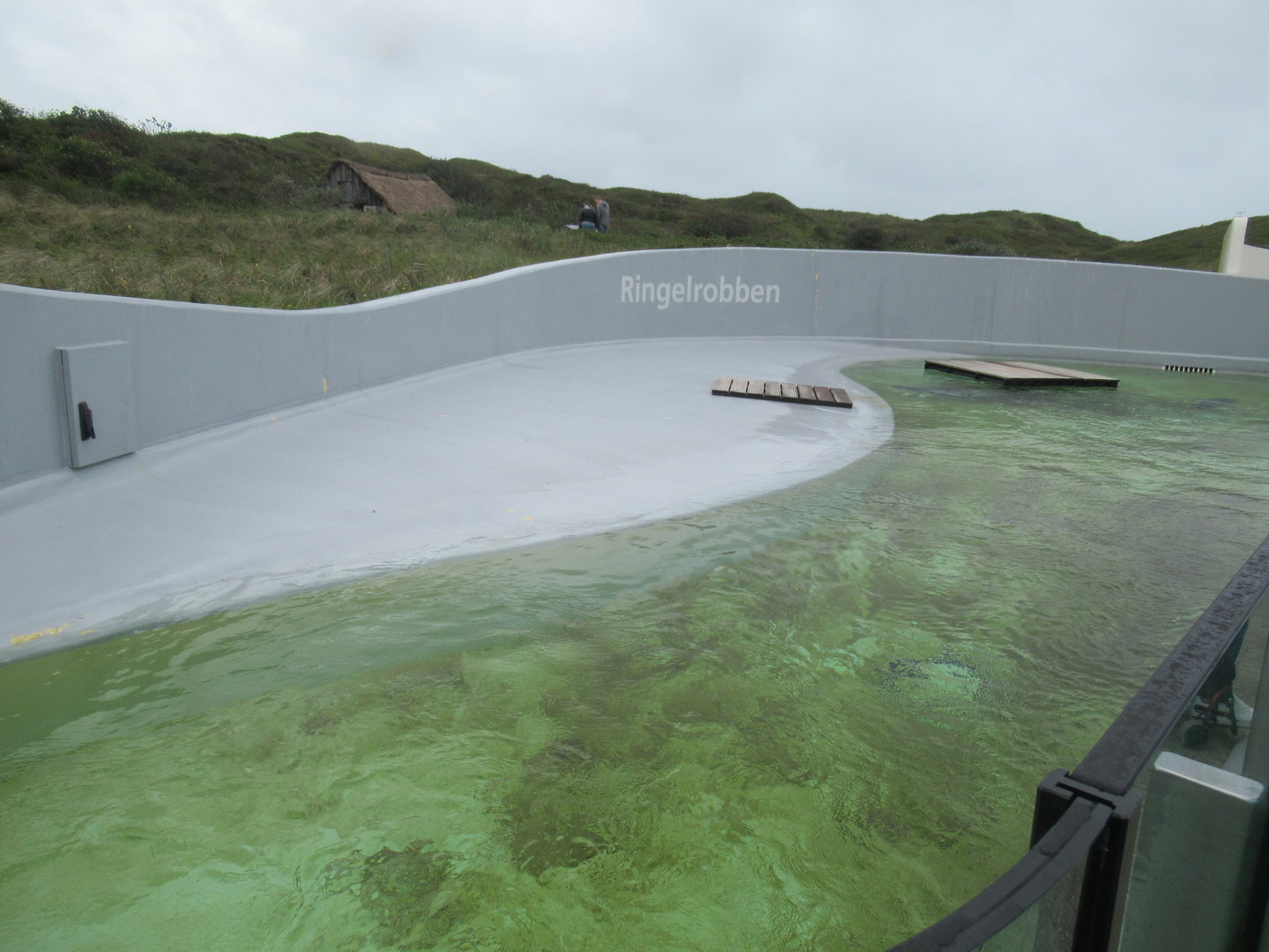 09 2023 - Ringed Seal / Harbour seal enclosure overview