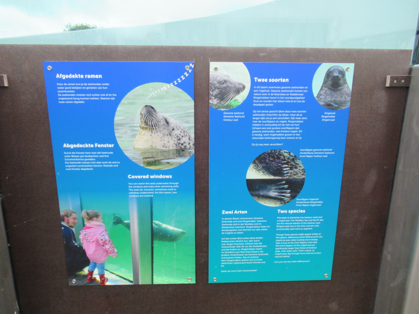 09 2023 - Signage Ringed Seal / Harbour Seal enclosure on animal welfare