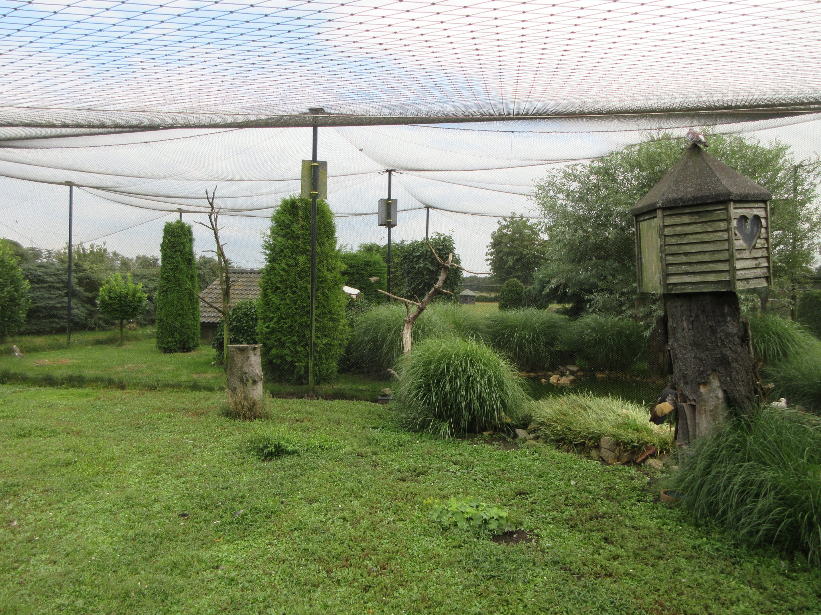 1,000 Square Meter Aviary