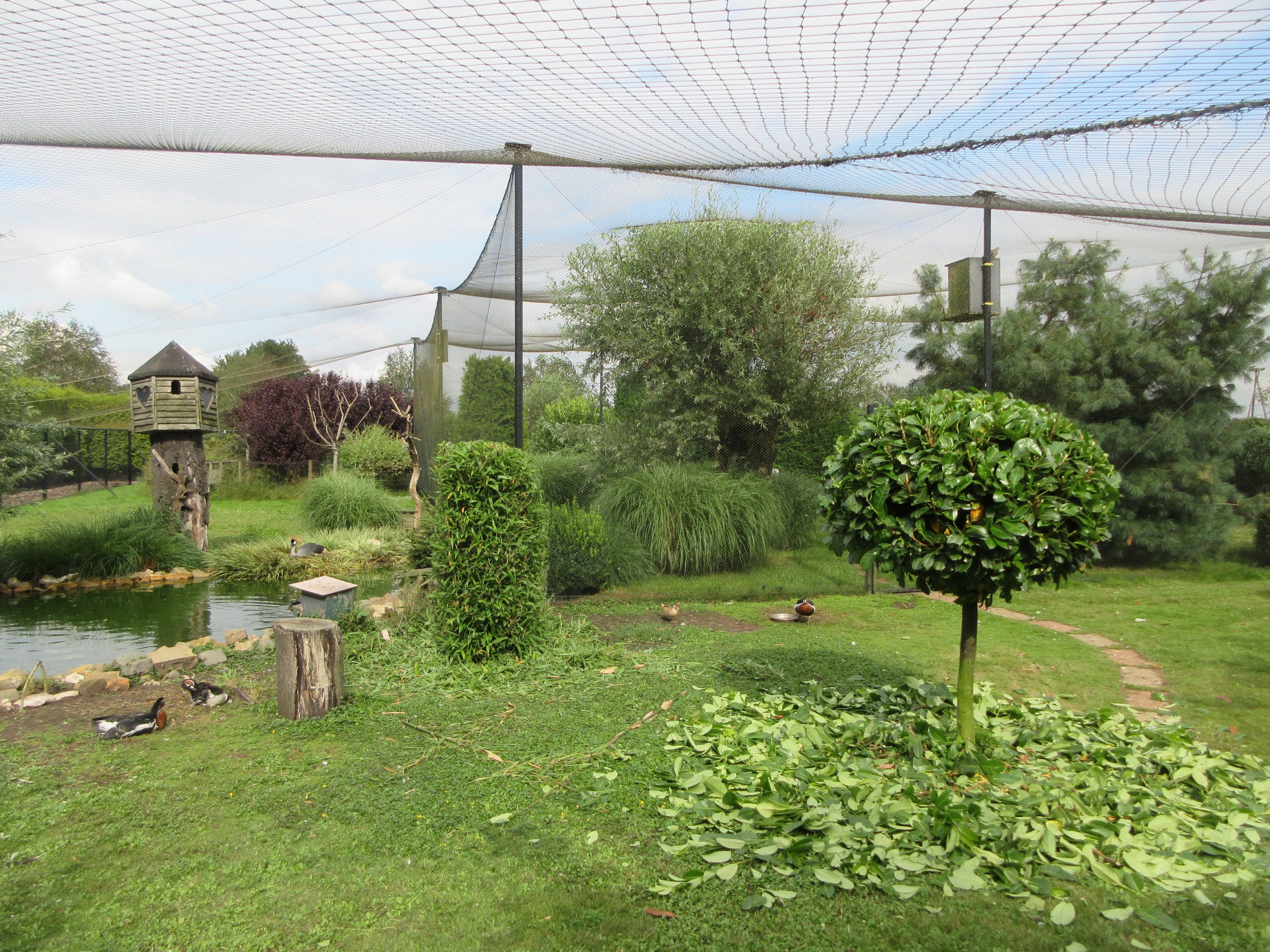 1,000 Square Meter Aviary