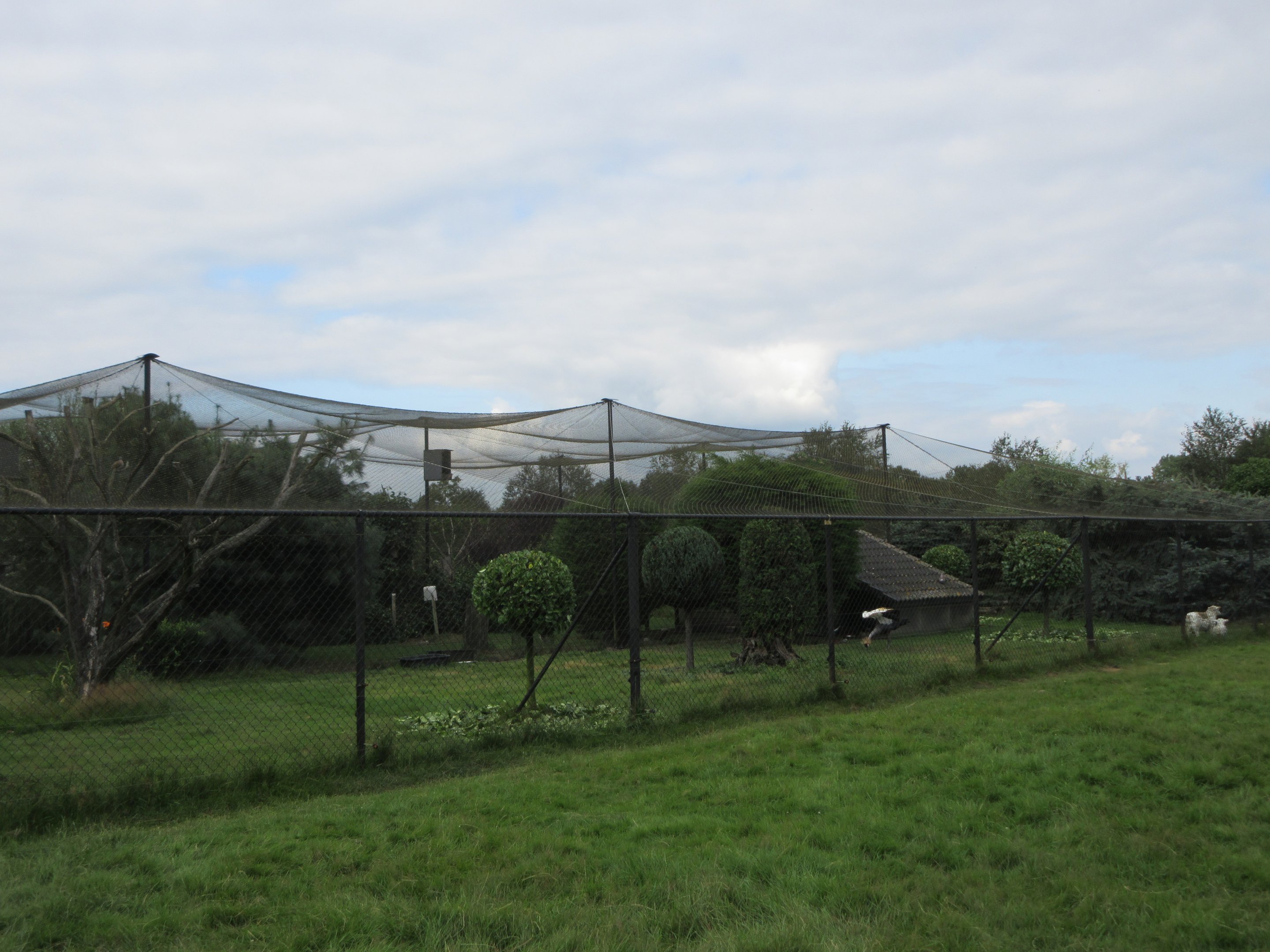1,000 Square Meter Aviary