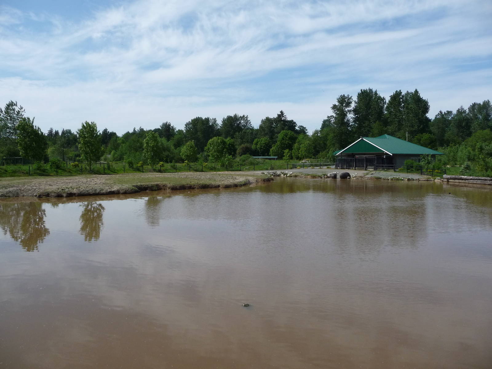 1.2 Acre Hippo Enclosure