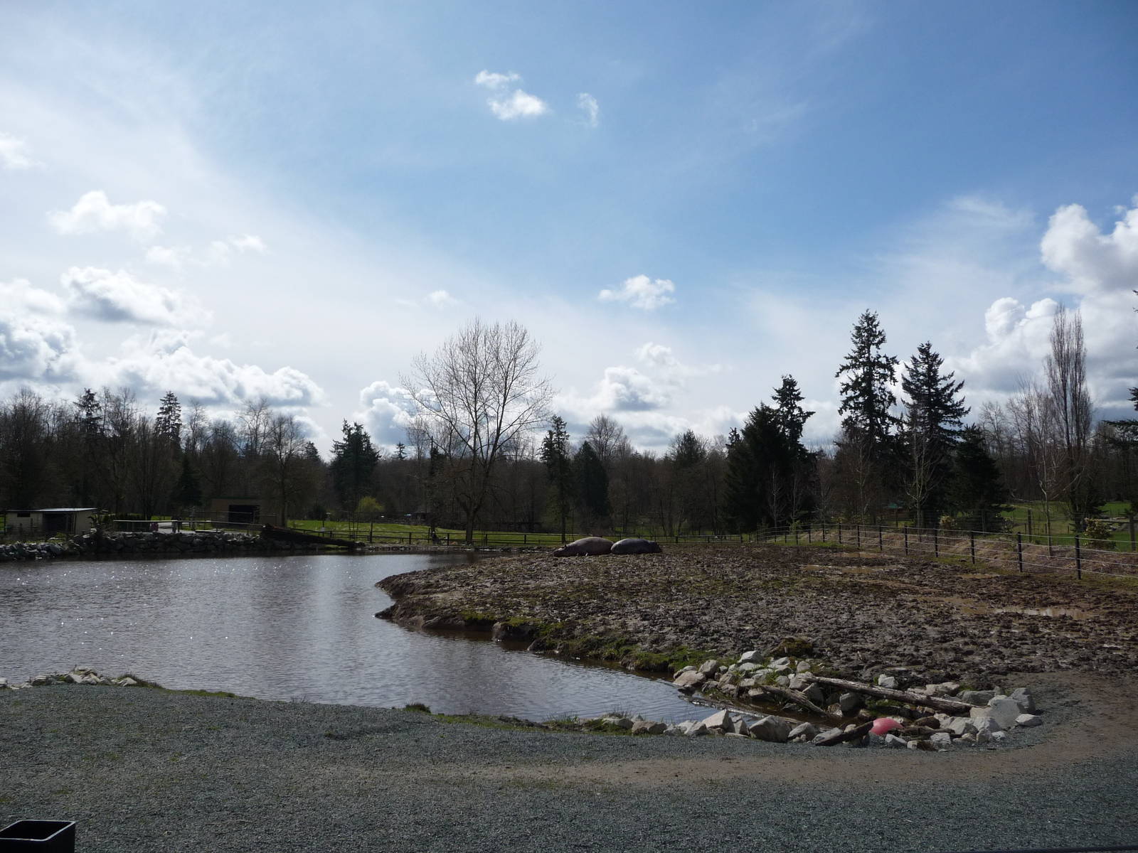 1.2 Acre Hippo Exhibit