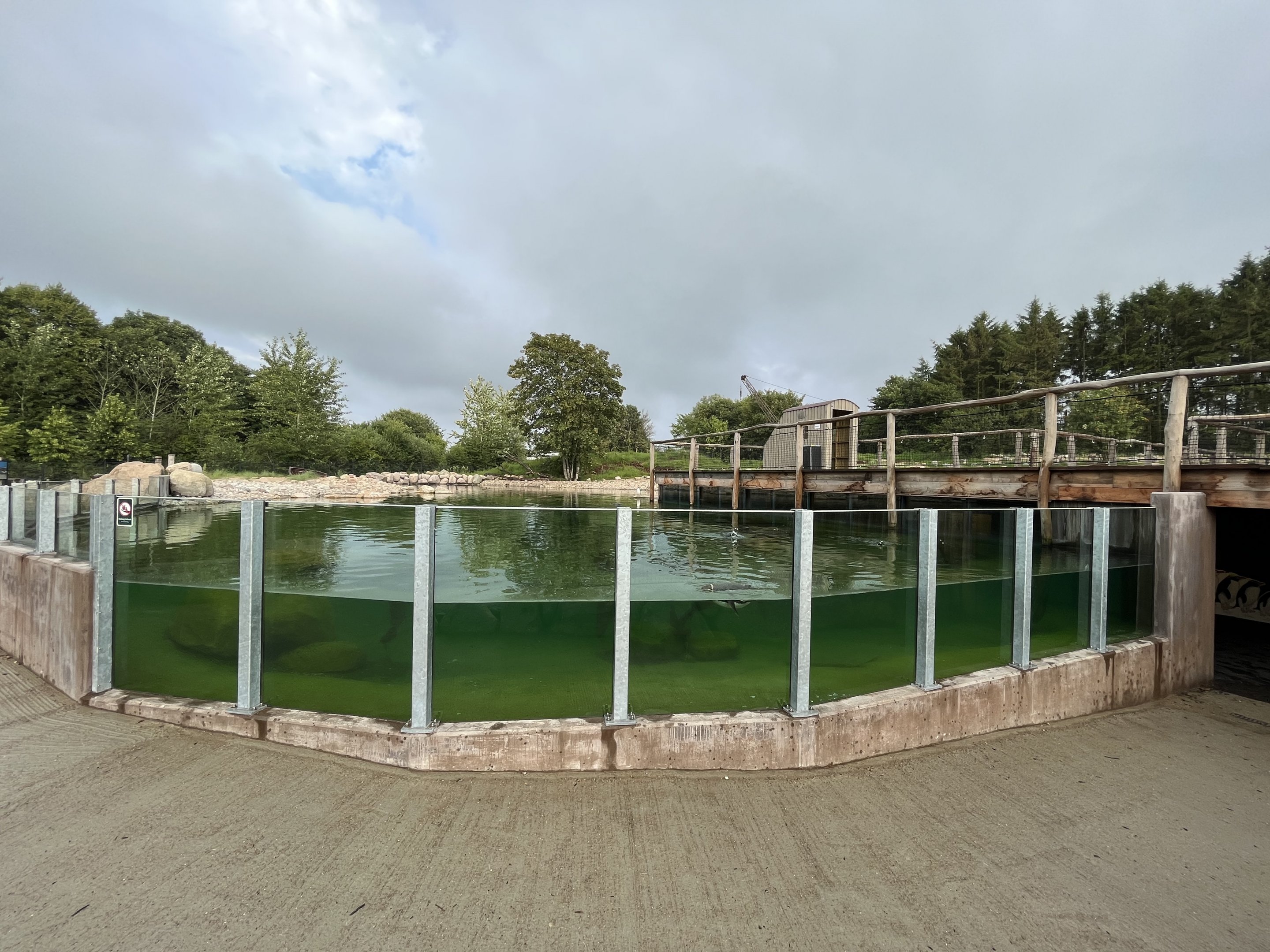1.2 Acre Humboldt Penguin Exhibit