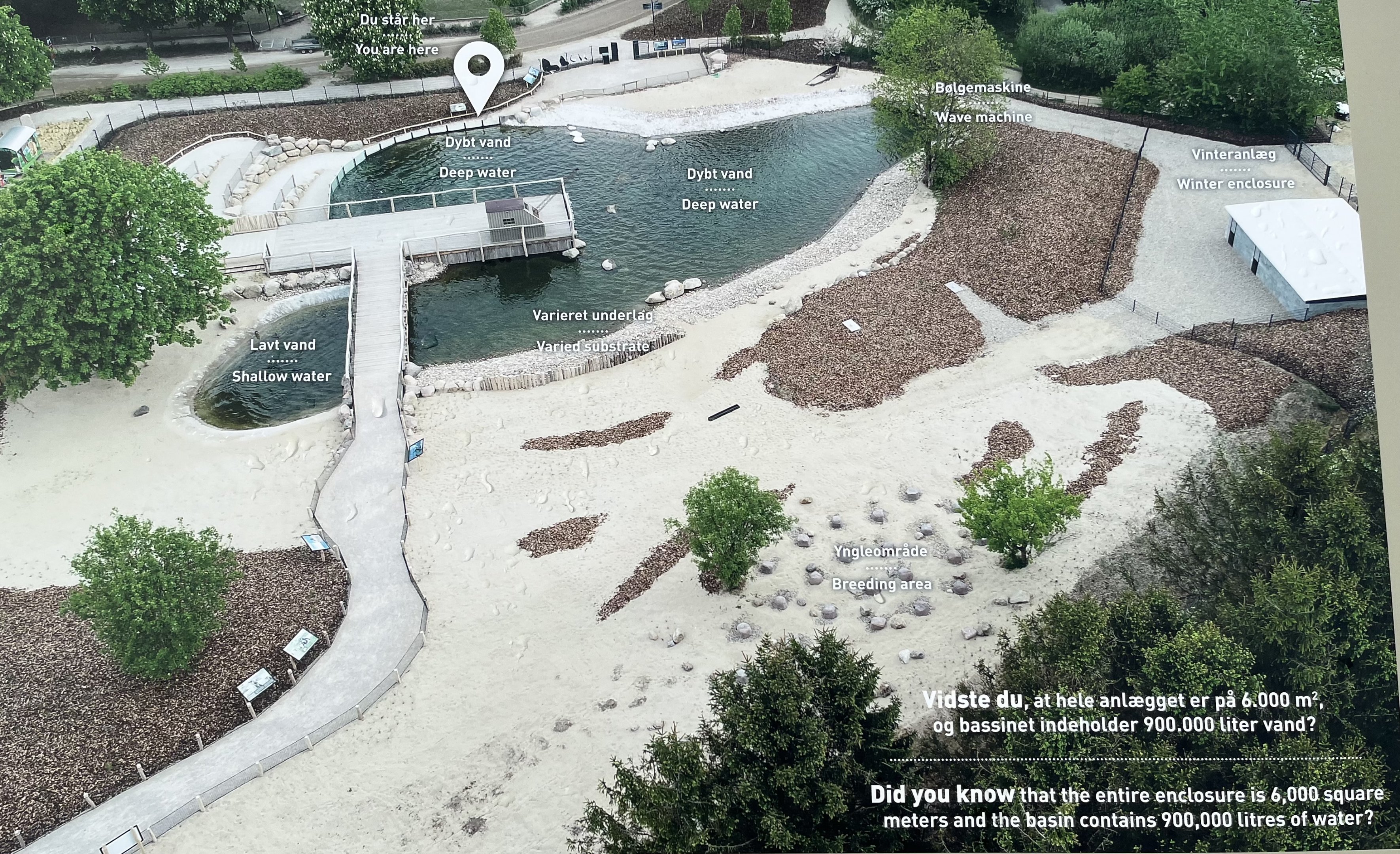 1.2 Acre Humboldt Penguin Exhibit