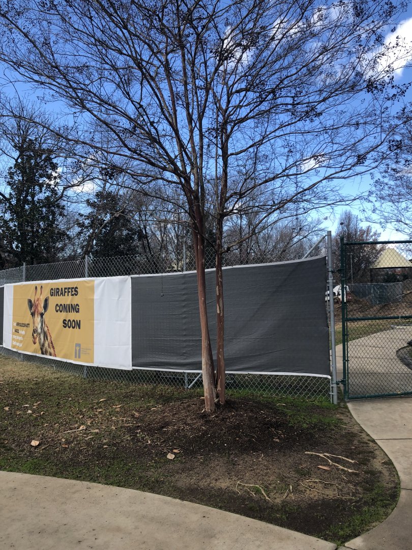 1/2 of Giraffe Construction