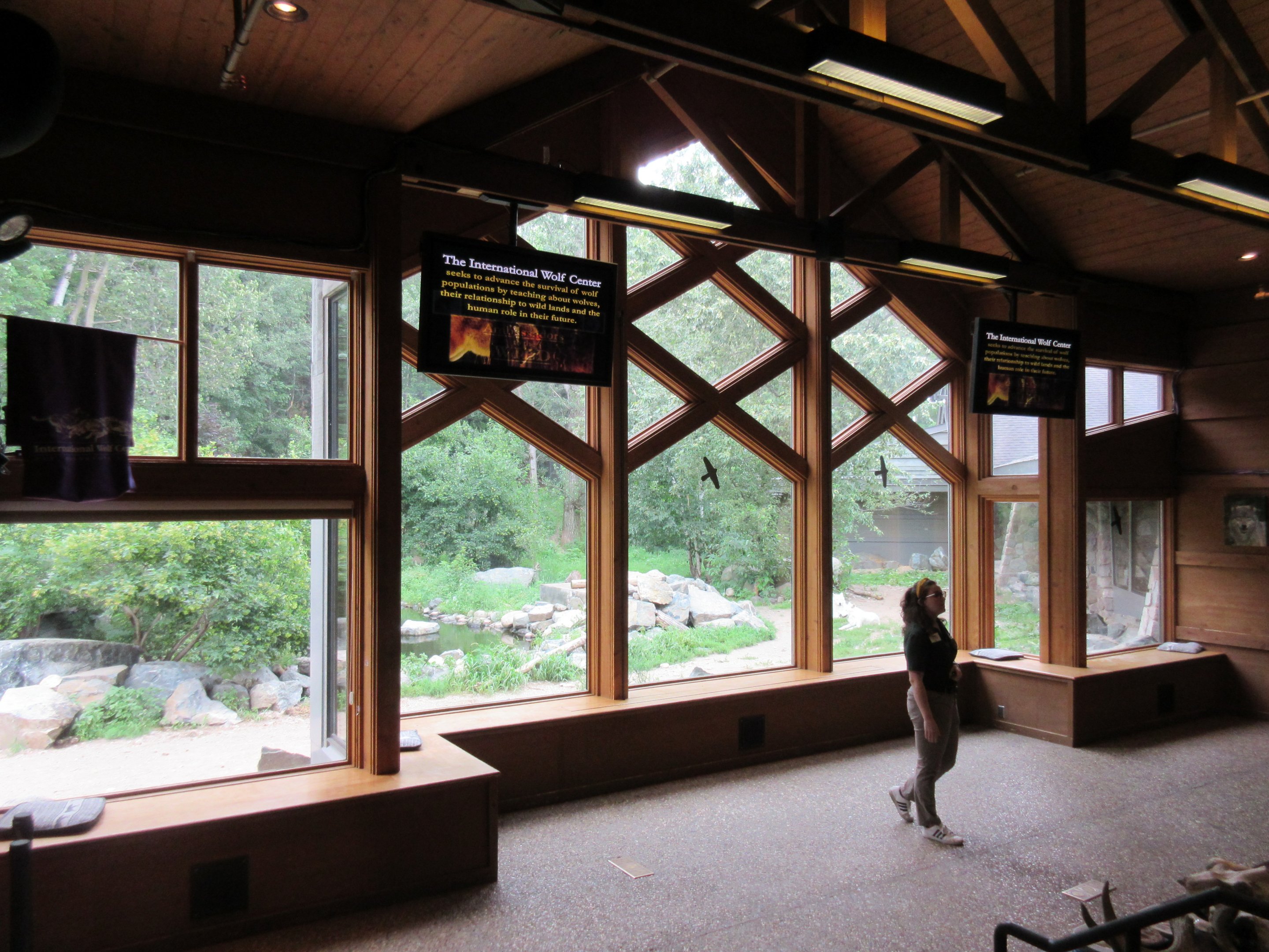 1.25 Acre Grey Wolf Exhibit