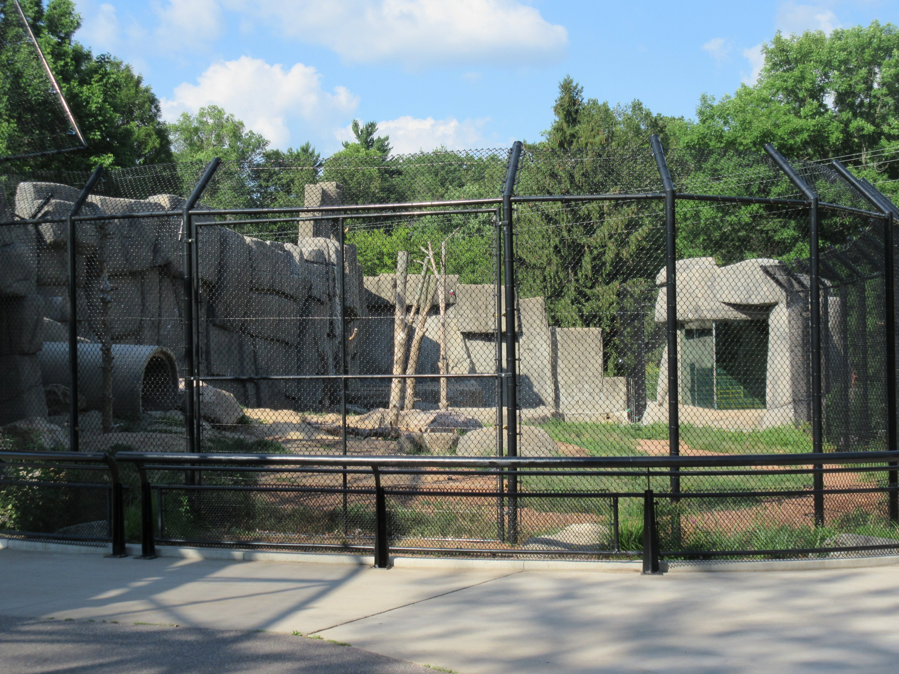 $1.3 Million Kodiak Bear Exhibit (New in 2015)