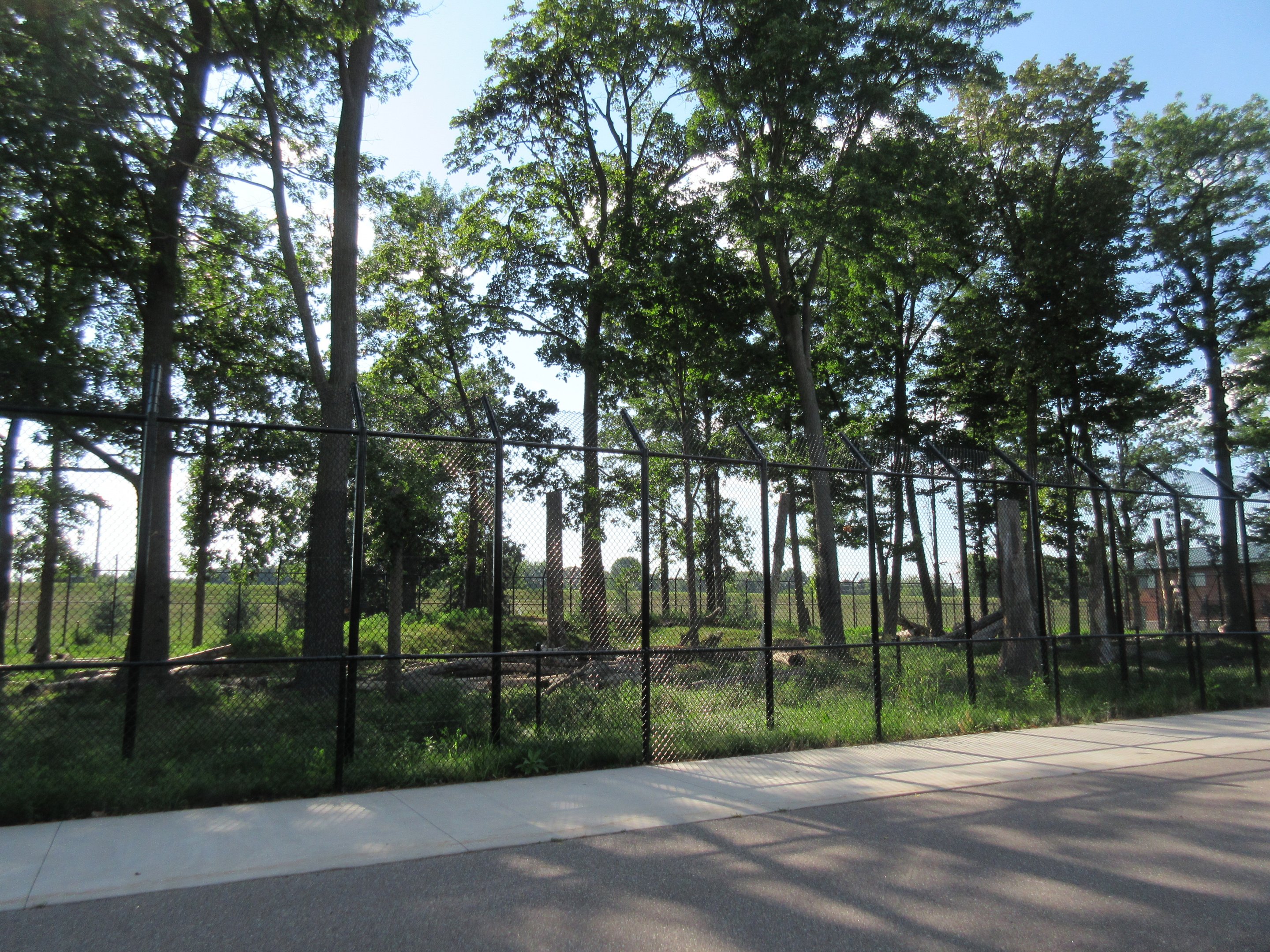 $1.3 Million Kodiak Bear Exhibit (New in 2015)