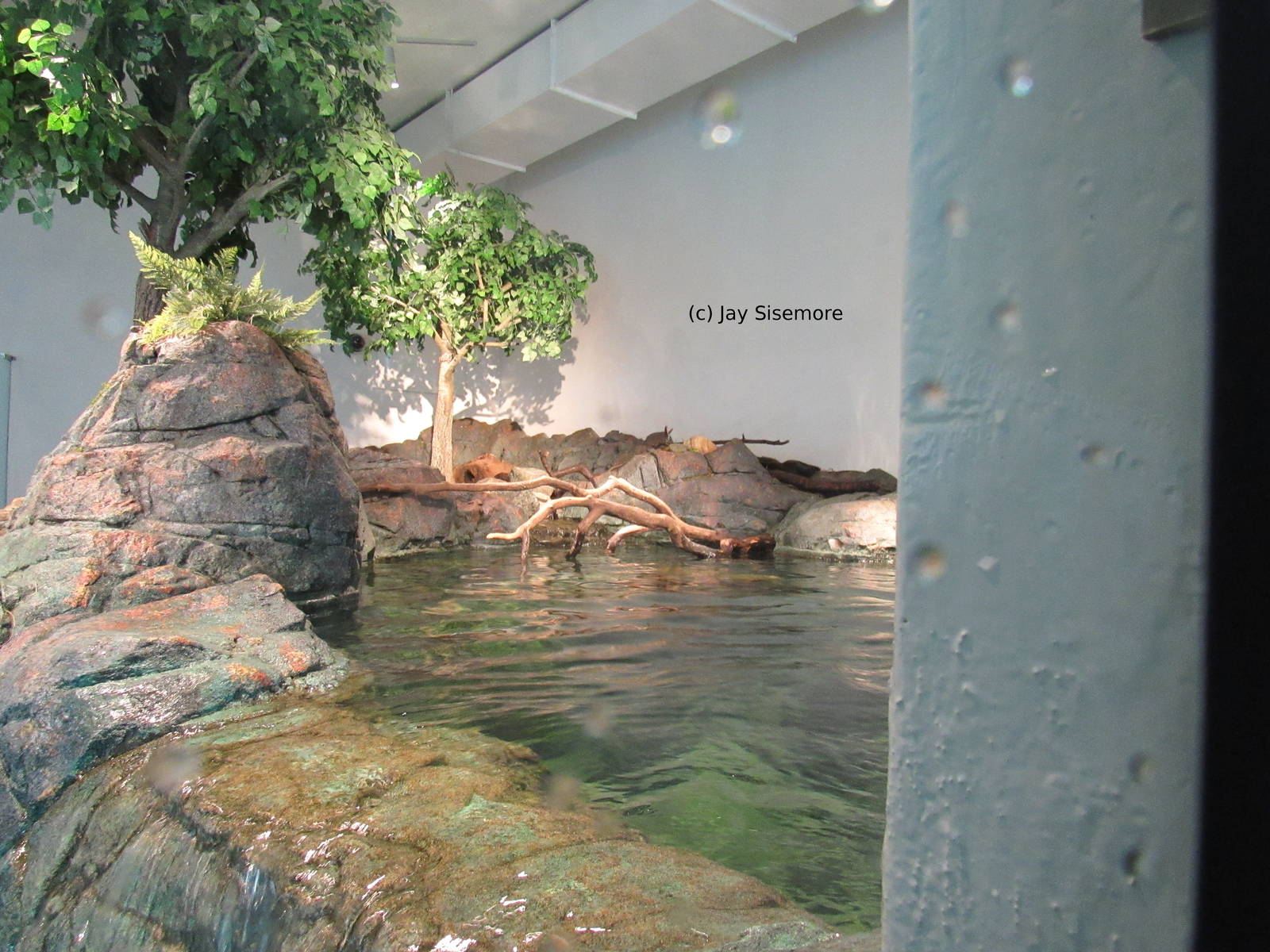 1/3 of River Otter Habitat