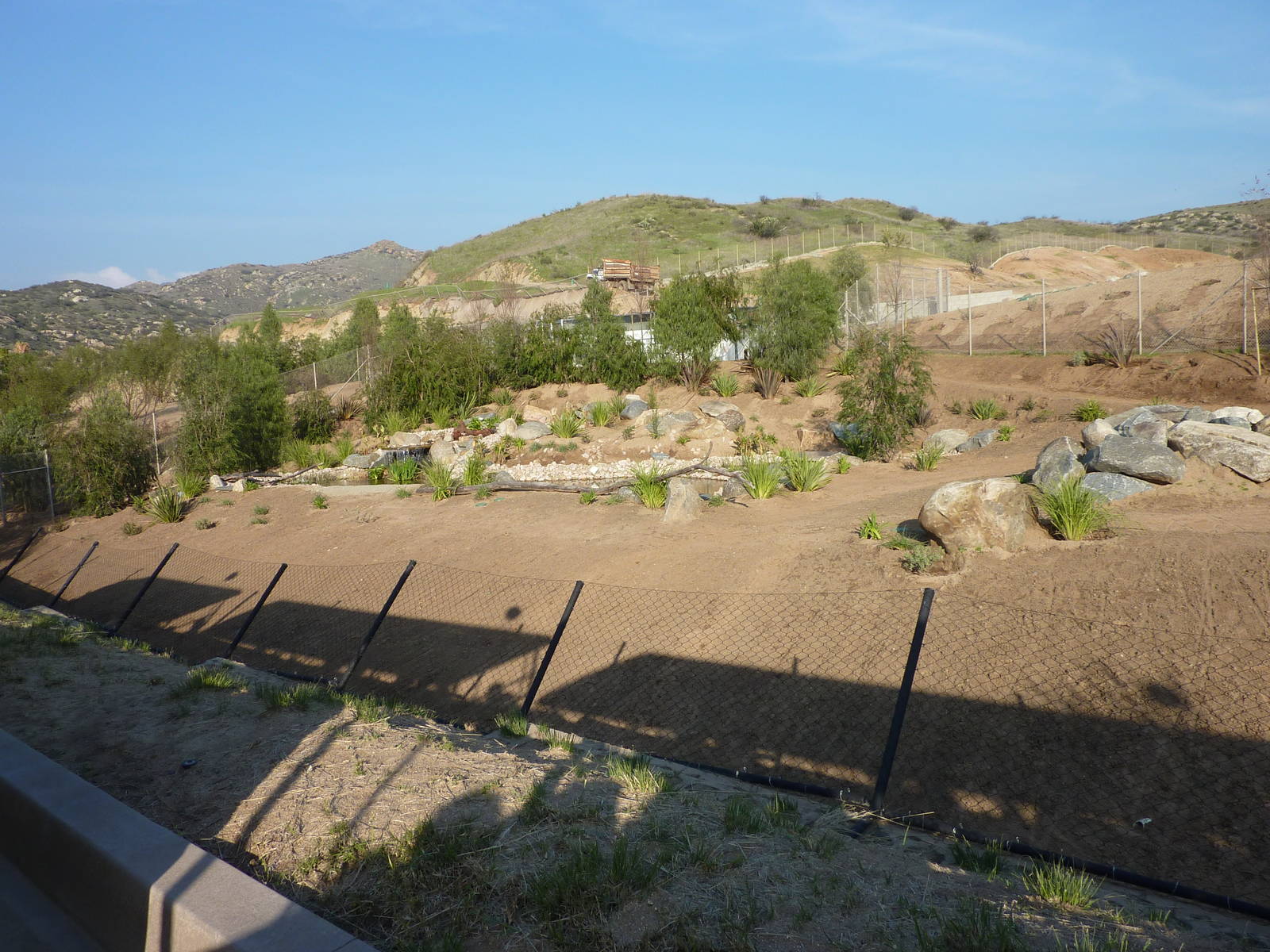 1/31/10 - JiA - Blue Crane and Yellow-Billed Stork exhibit