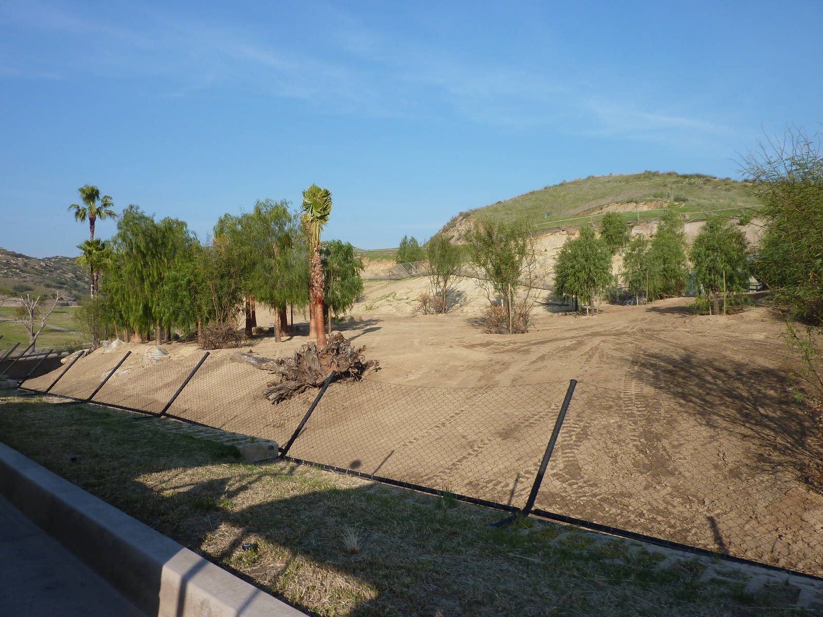 1/31/10 - JiA - Soemmerring's Gazelle Exhibit