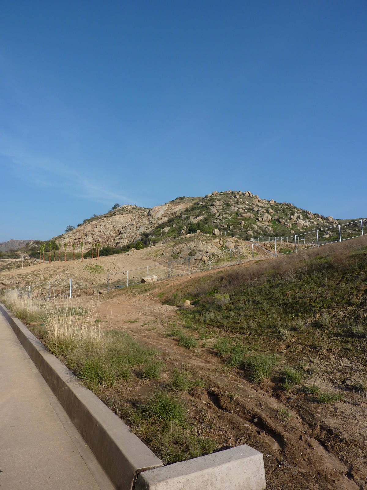 1/31/10 - JiA - Somalian Wild Ass and Barbary Sheep Exhibit