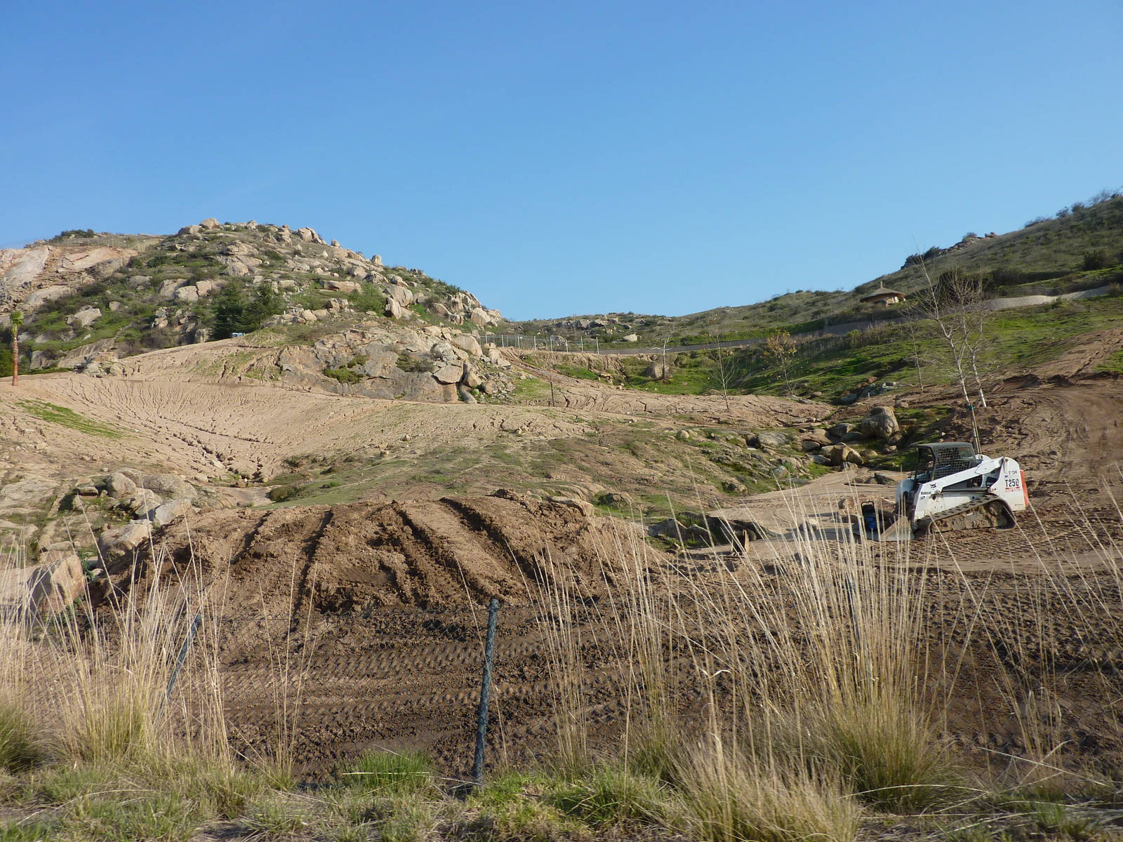 1/31/10 - JiA - Somalian Wild Ass and Barbary Sheep Exhibit