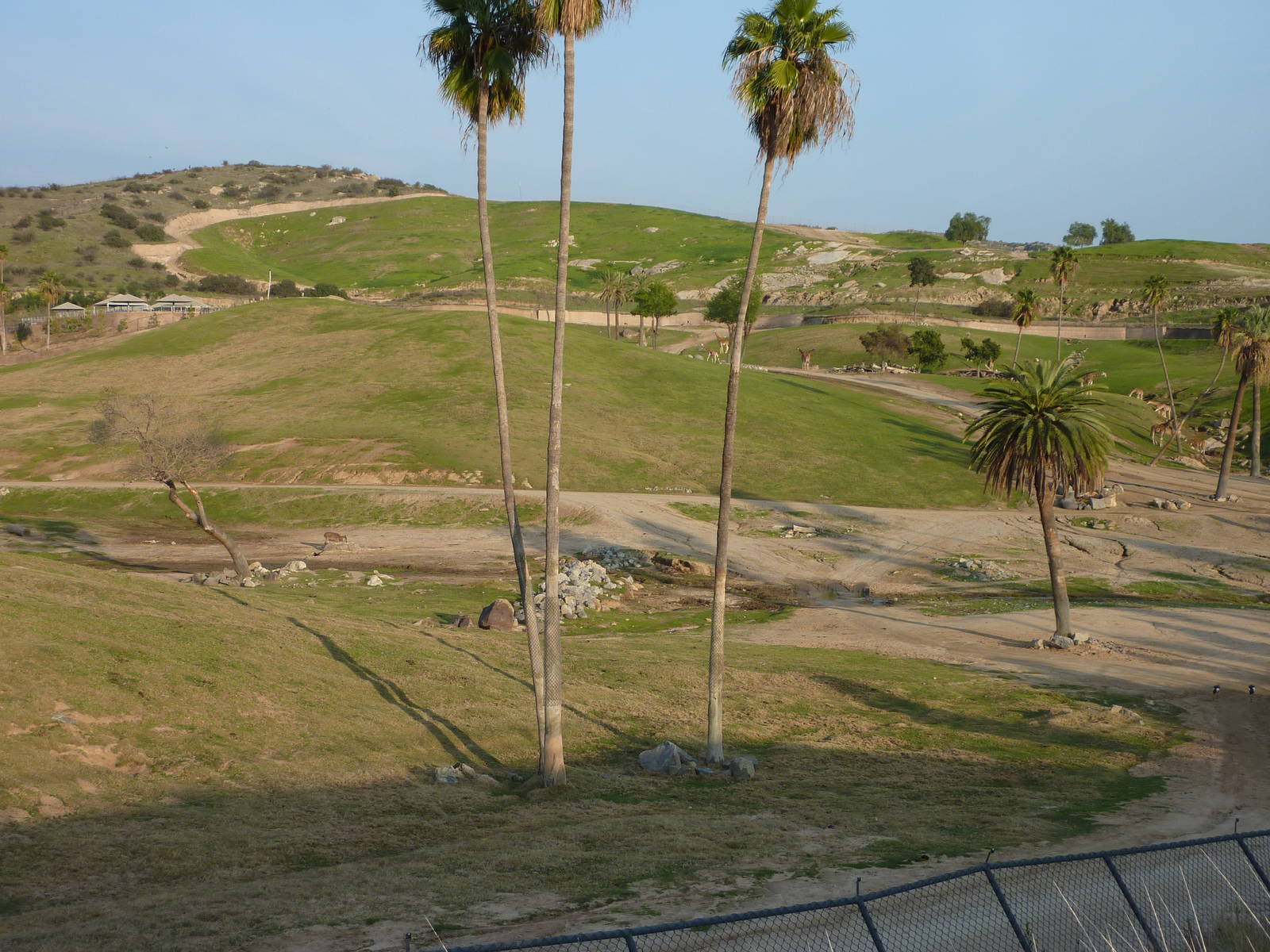 1/31/10 - South Africa