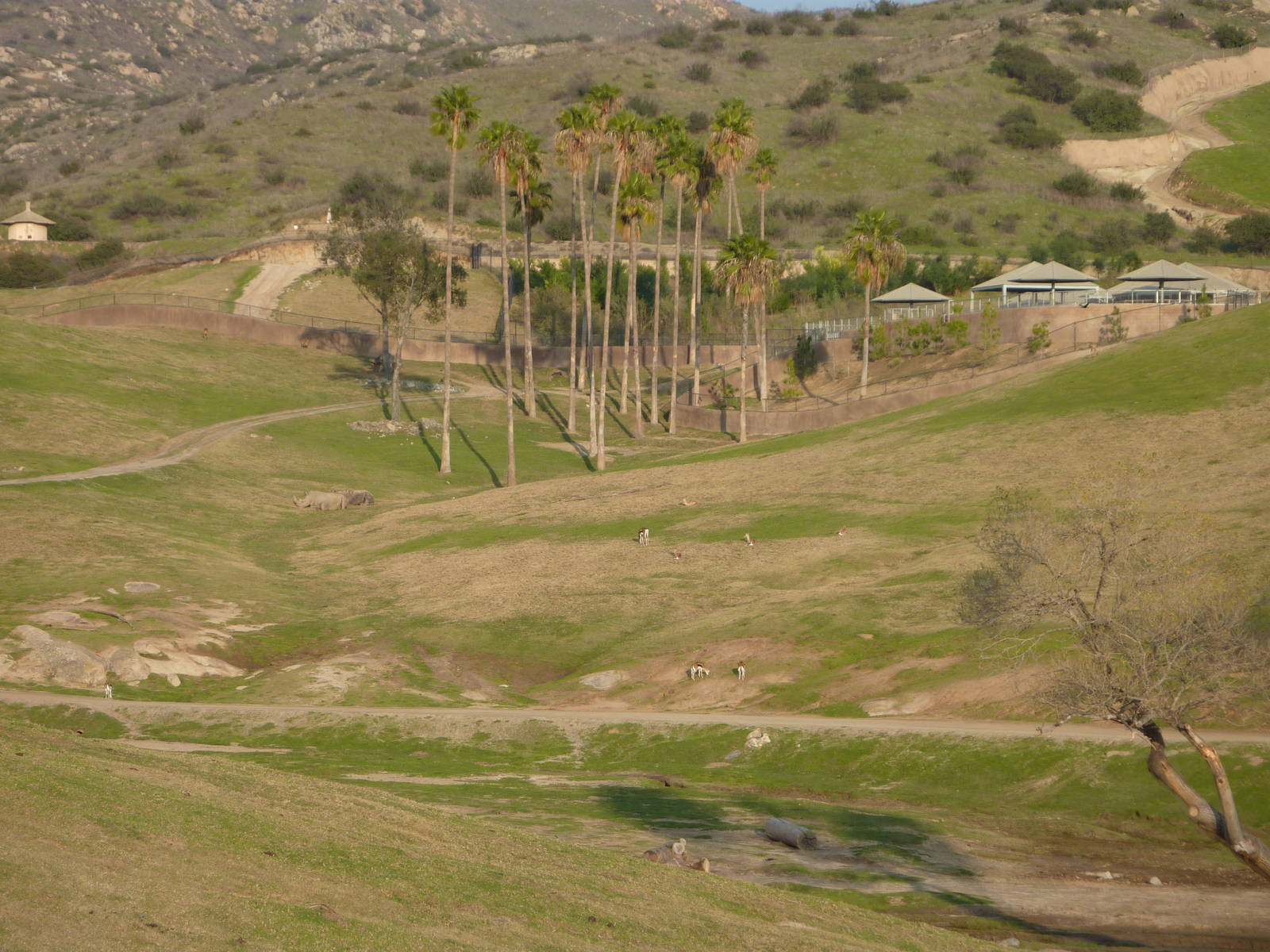 1/31/10 - South Africa