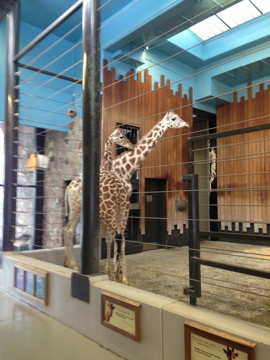 1/4/2014 - Marlee and Rahna