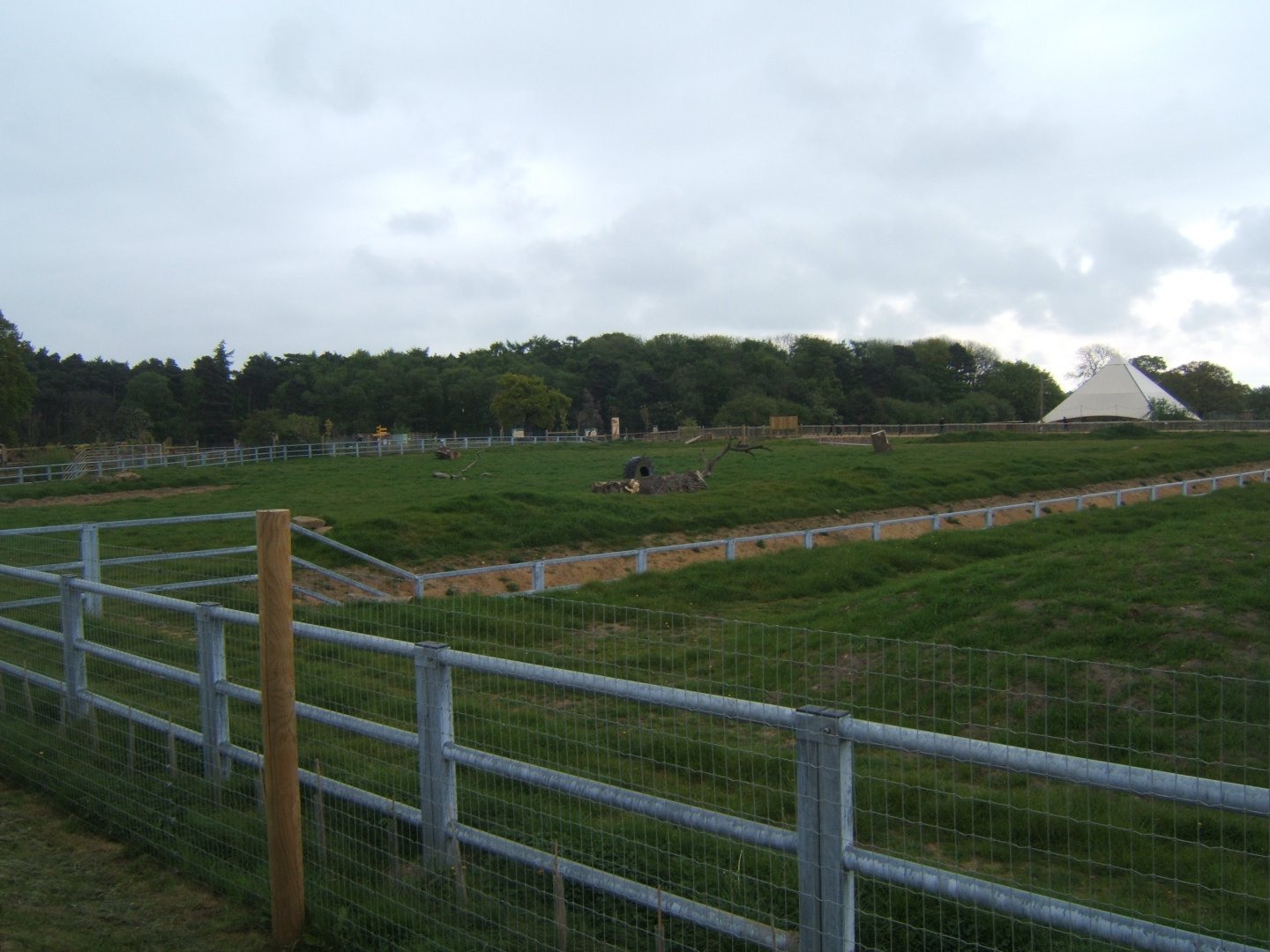 1/5/2017 View of Black Rhino paddock
