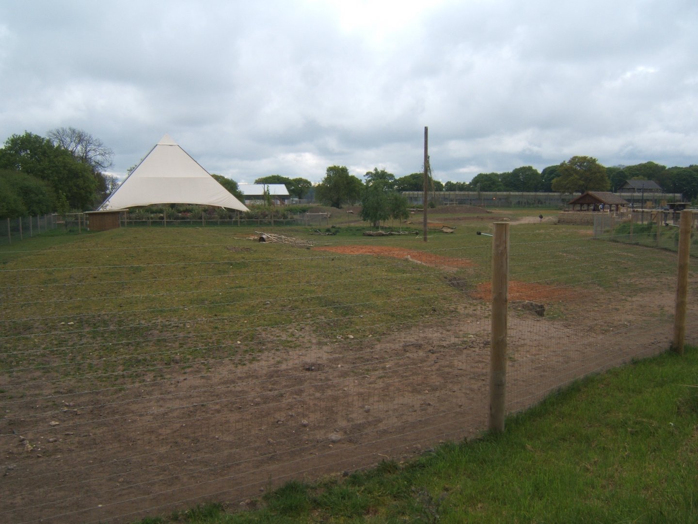 1/5/2017 View of into Africa exhibit