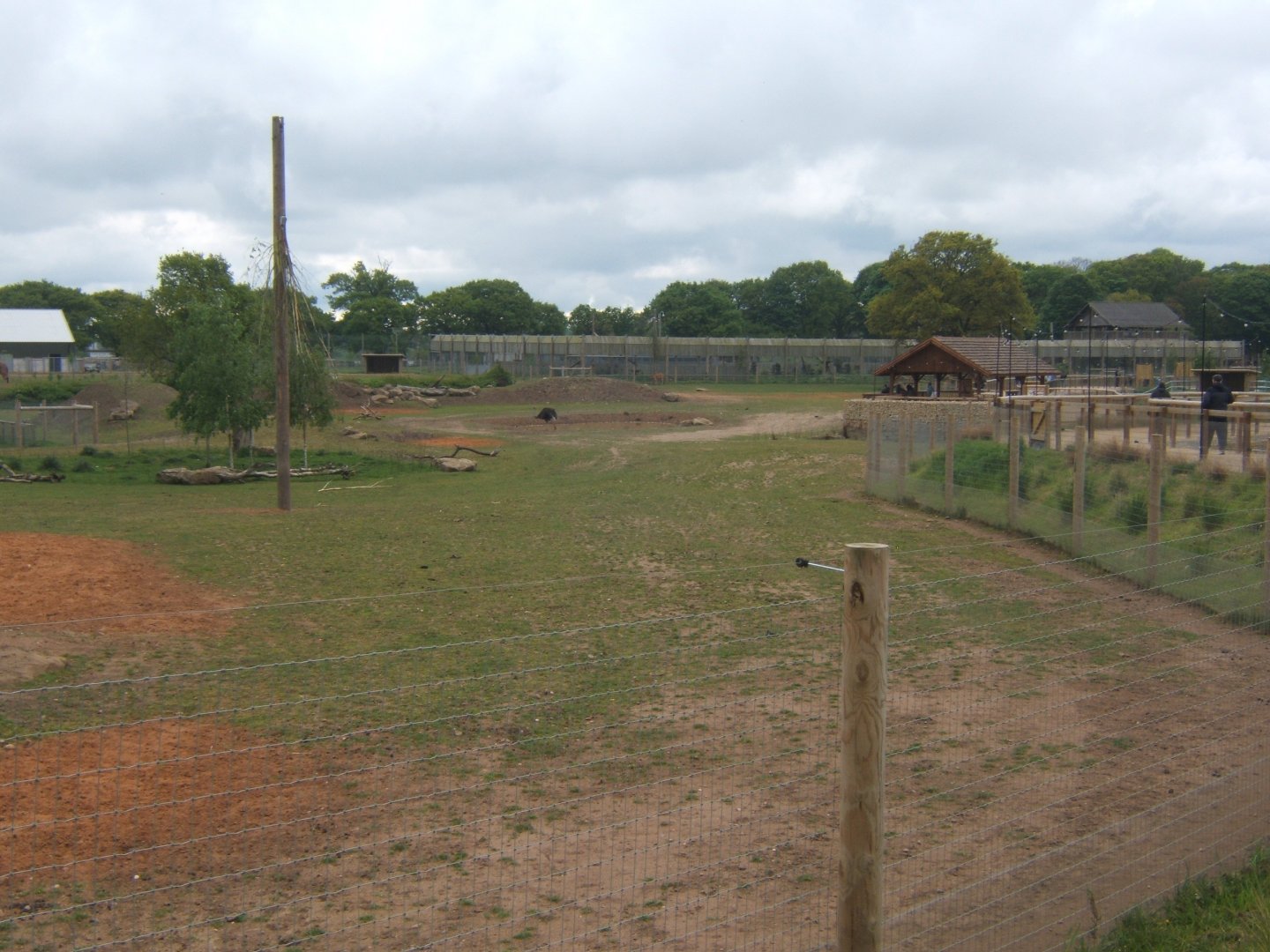 1/5/2017 View of into Africa exhibit