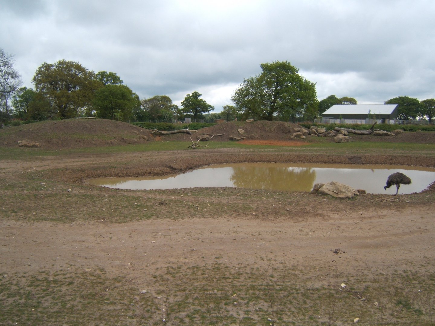 1/5/2017 View of into Africa exhibit