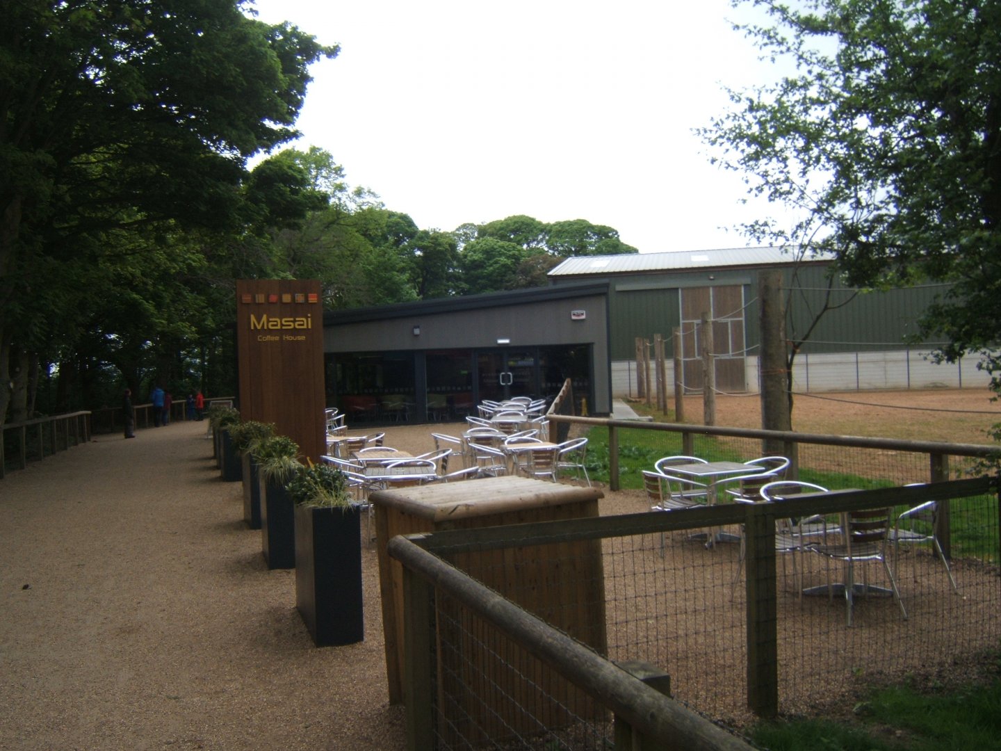 1/5/2017 View of Masai coffee house