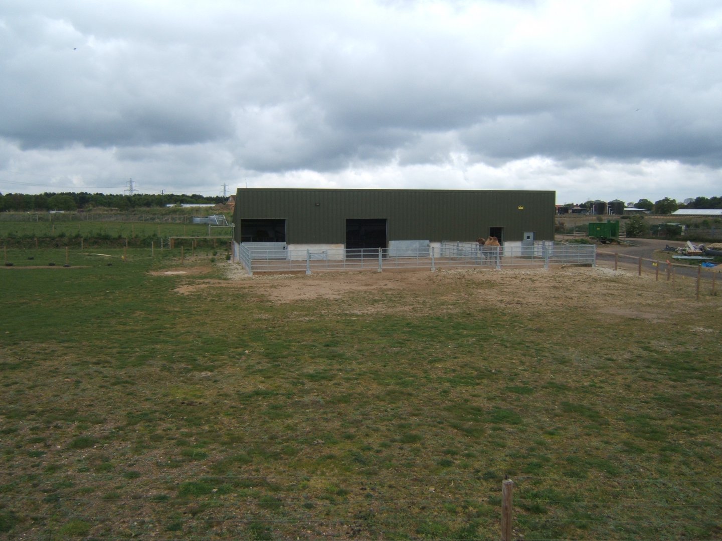 1/5/2017 View of new camel house