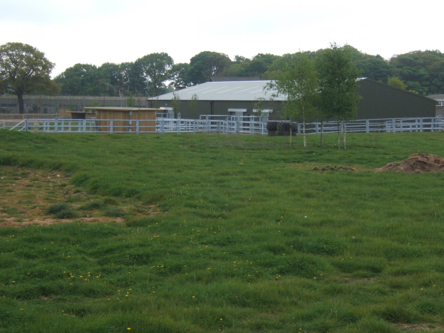 1/5/2017 View towards Black Rhino House
