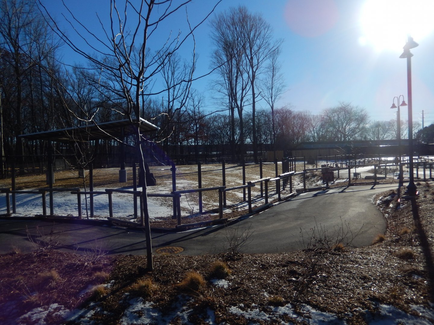 1/5/2019 - Adventure Africa Construction