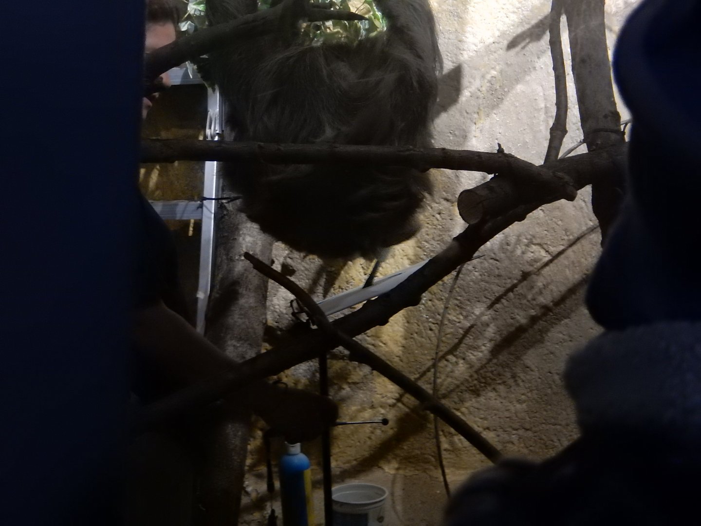 1/5/2019 - Artist on the Rise?