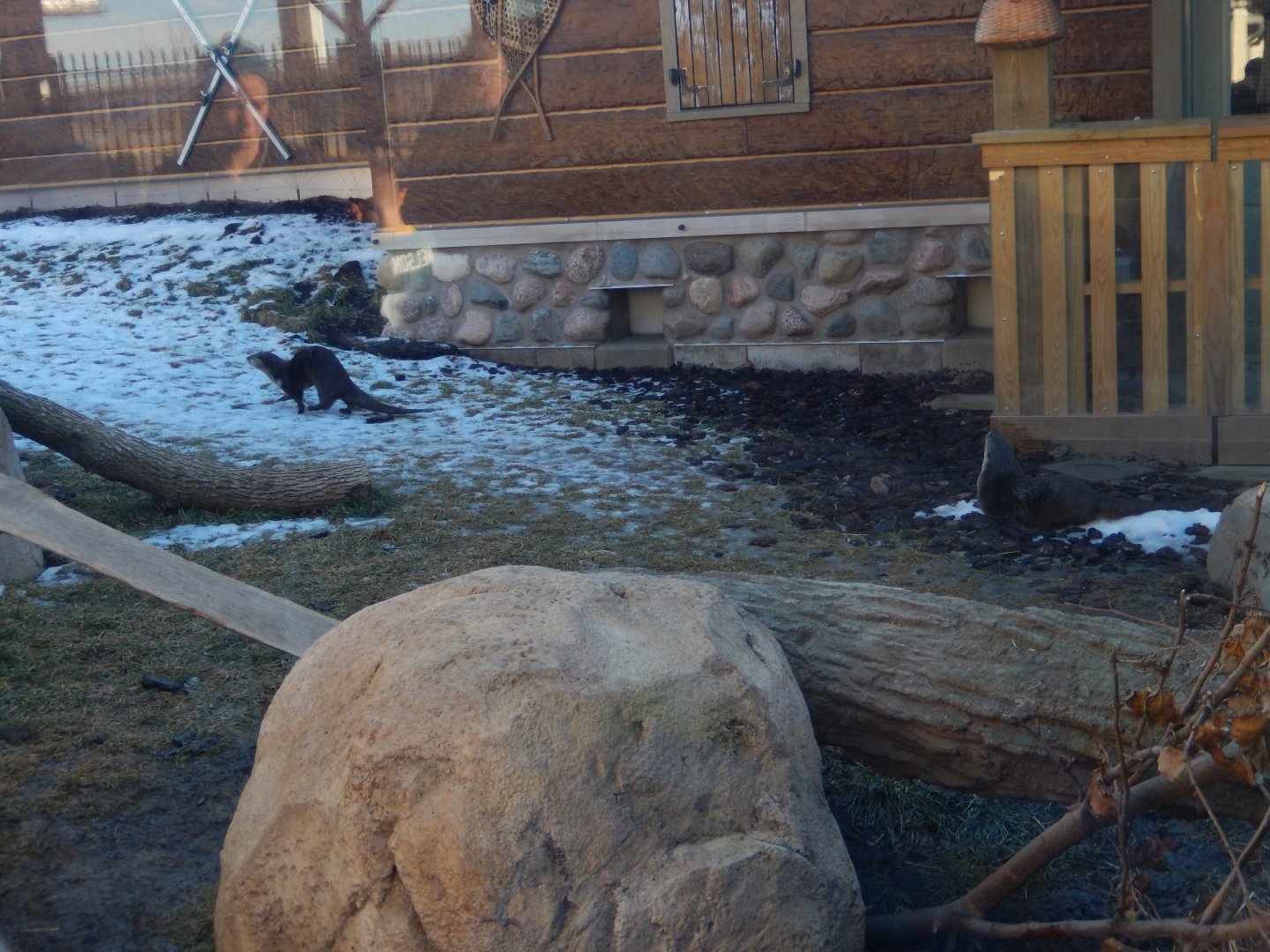 1/5/2019 - Otter Passage