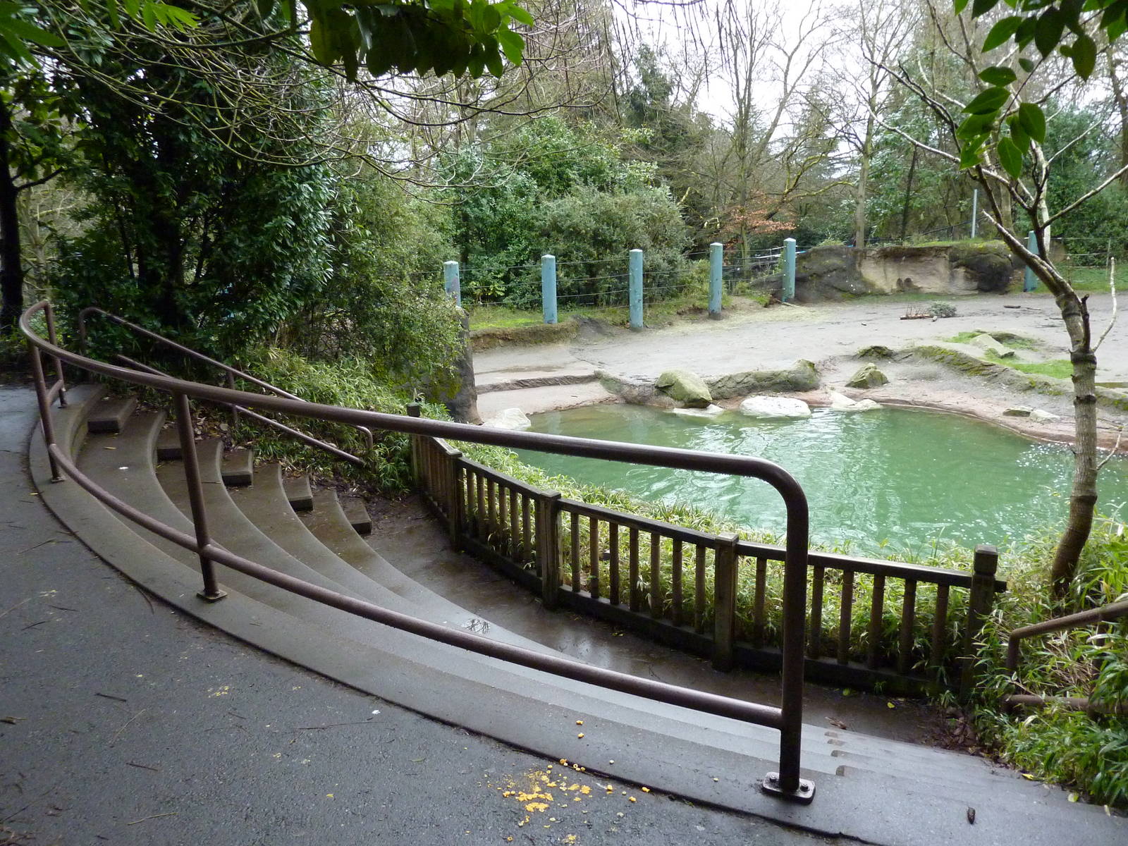 1.5 Acre Elephant Exhibit - Visitor Seats