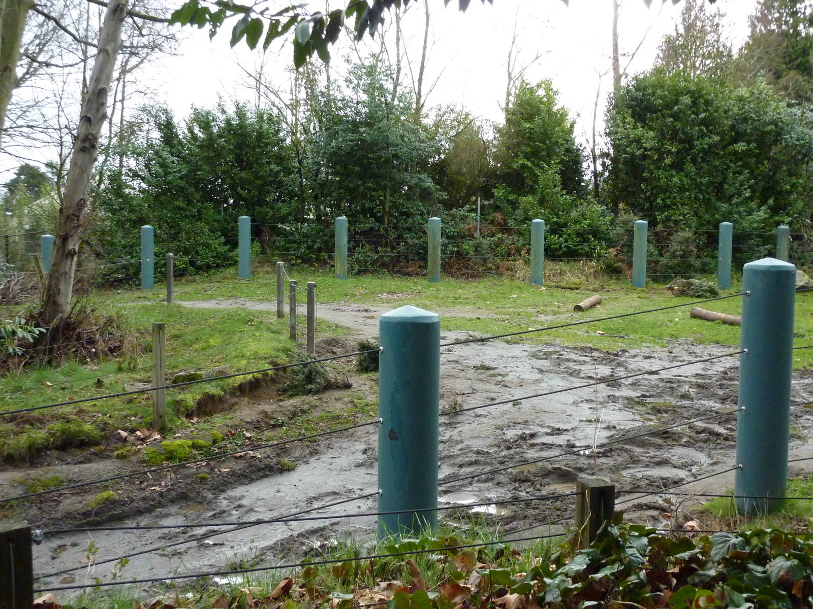 1.5 Acre Elephant Exhibit