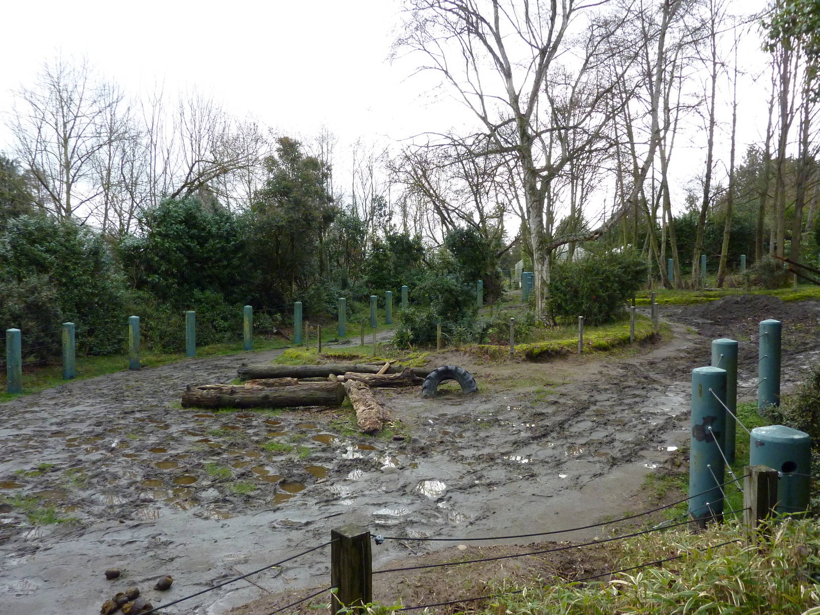 1.5 Acre Elephant Exhibit