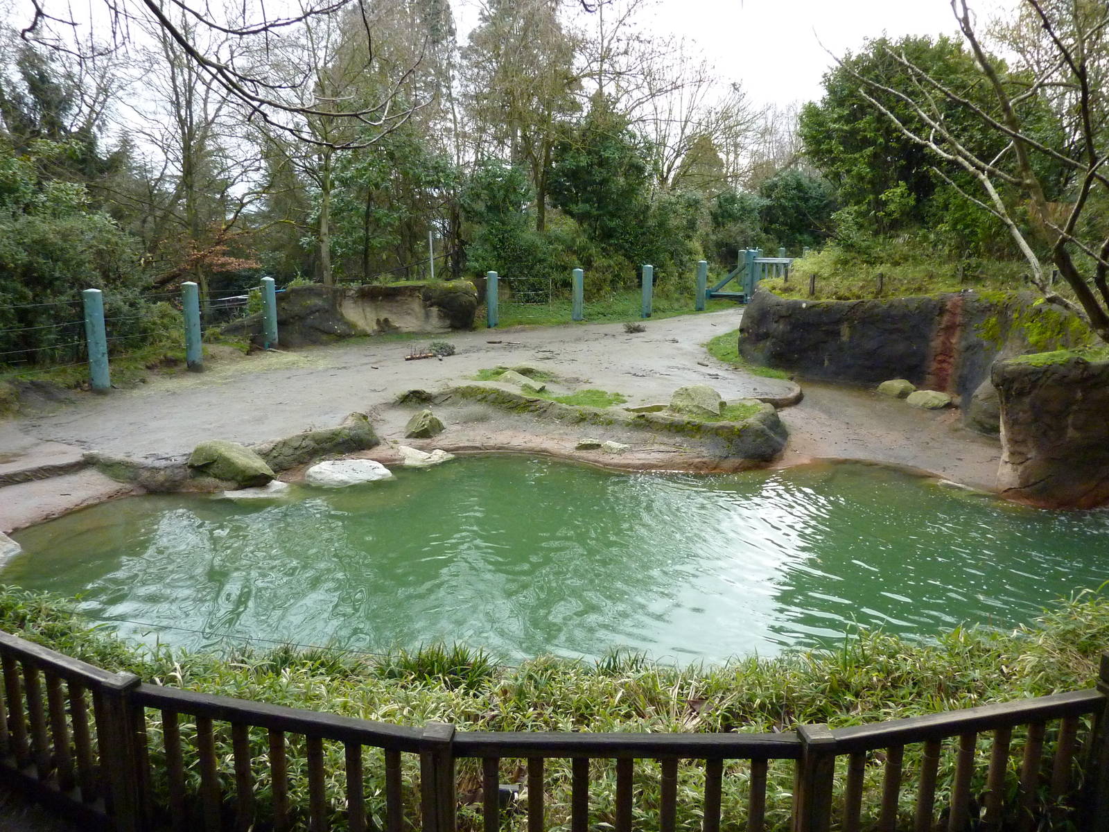 1.5 Acre Elephant Exhibit