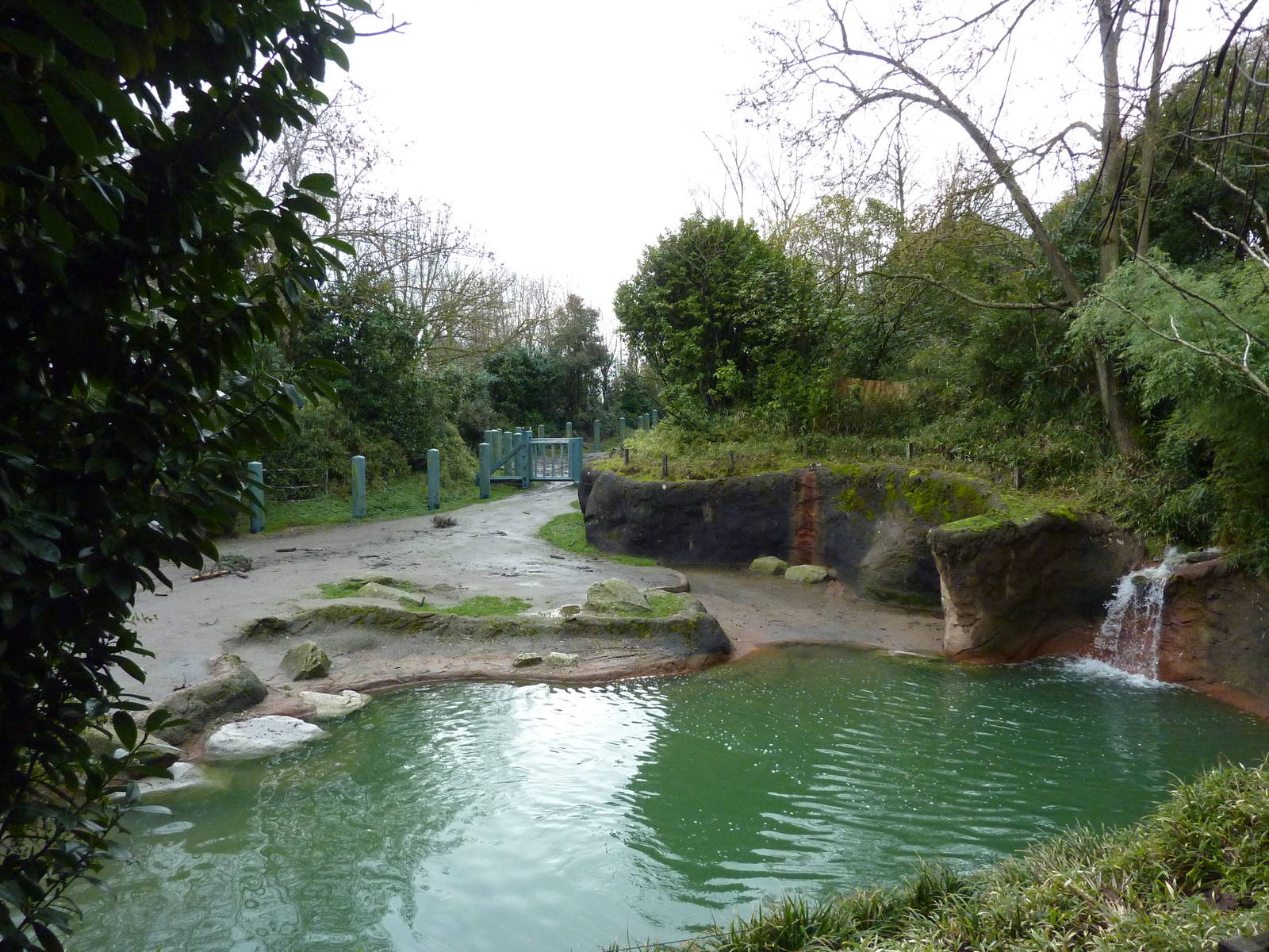 1.5 Acre Elephant Exhibit