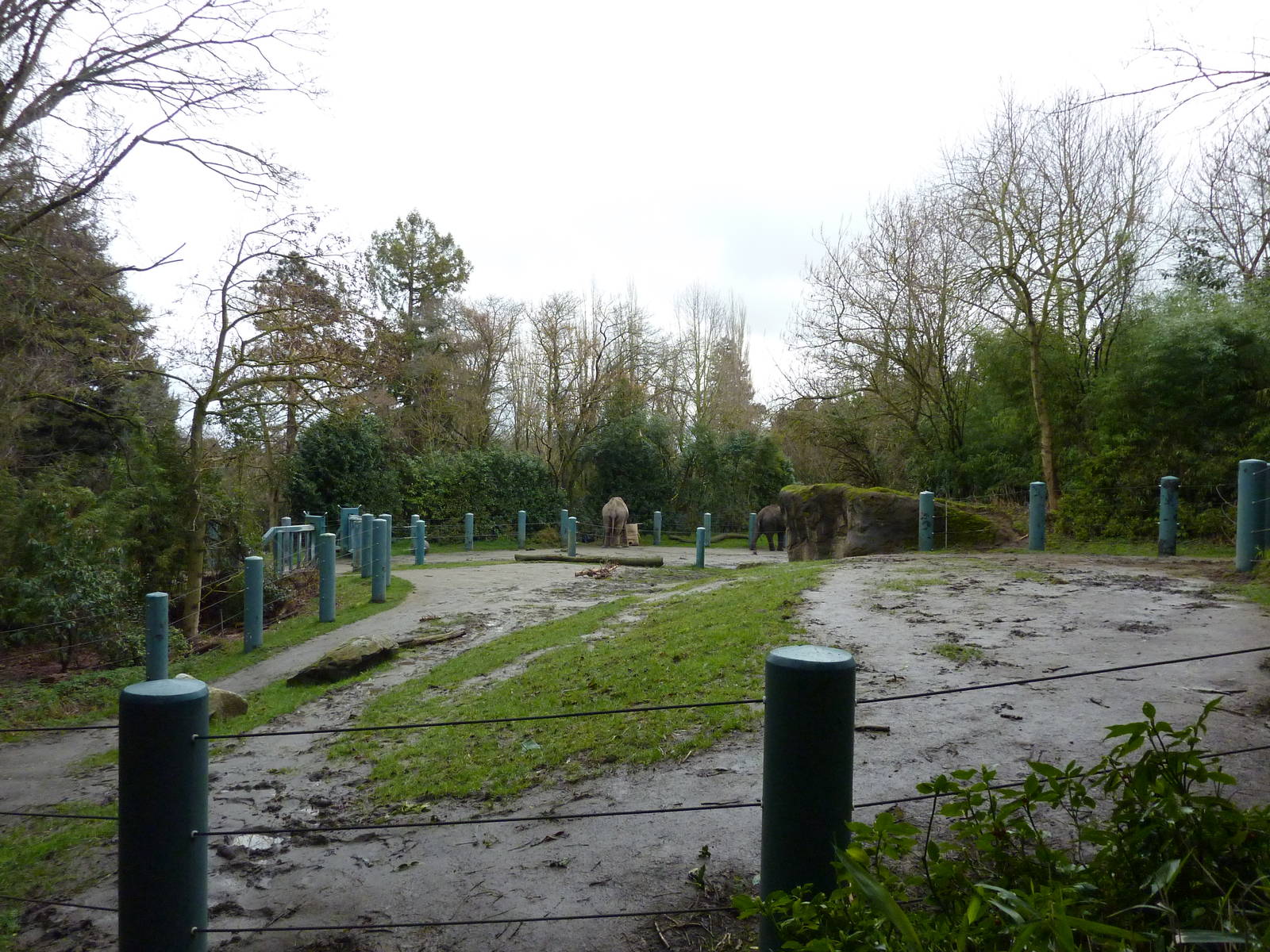 1.5 Acre Elephant Exhibit