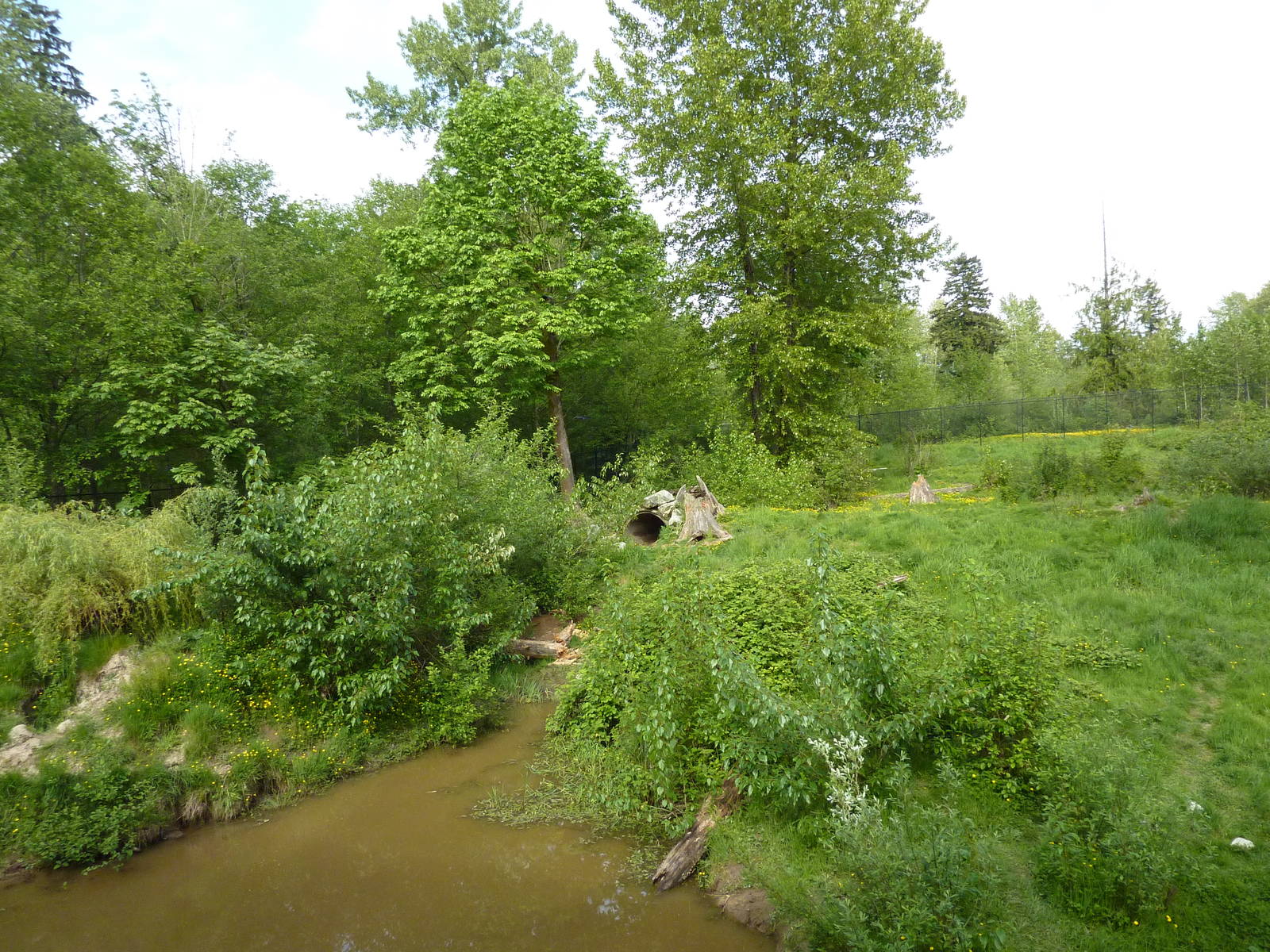 1.5 Acre Grizzly Bear Enclosure